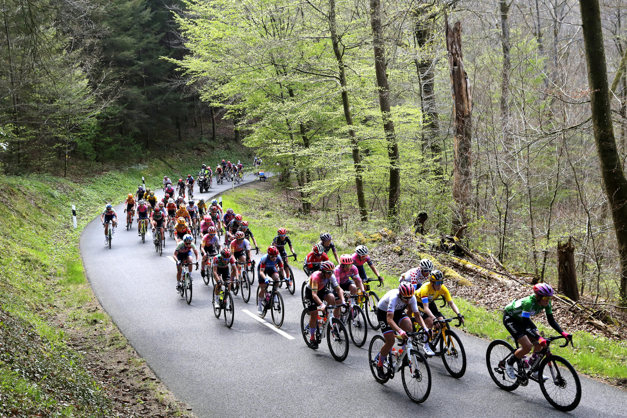 Trans cyclist forced to defend herself after winning race fair and square: 'I followed the rules'