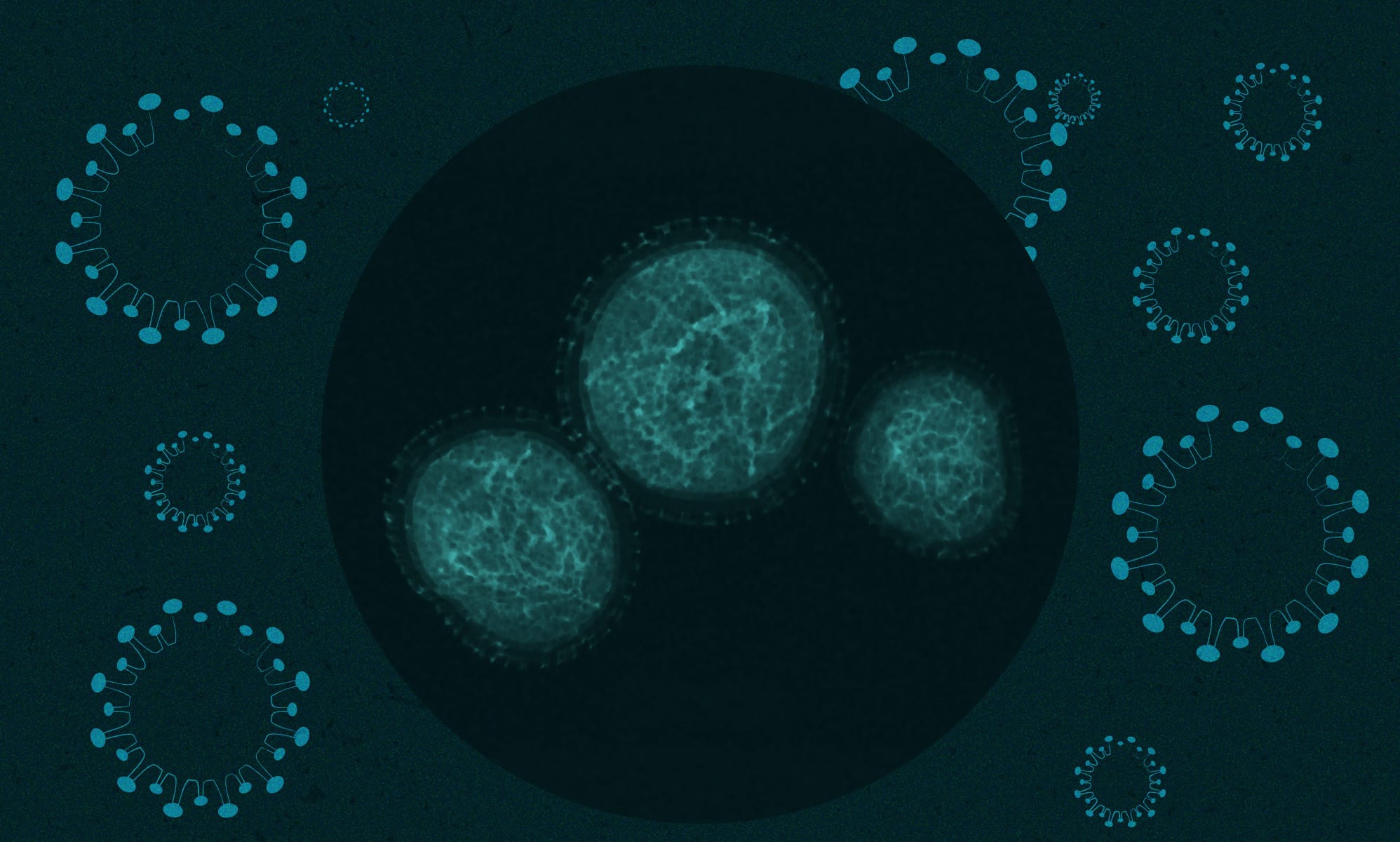 Monkeypox: Landmark new study reveals extent of mutation in virus