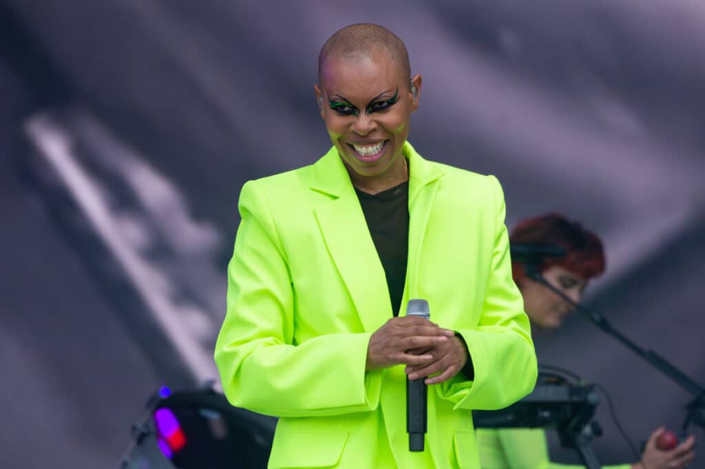 Skin of Skunk Anansie 