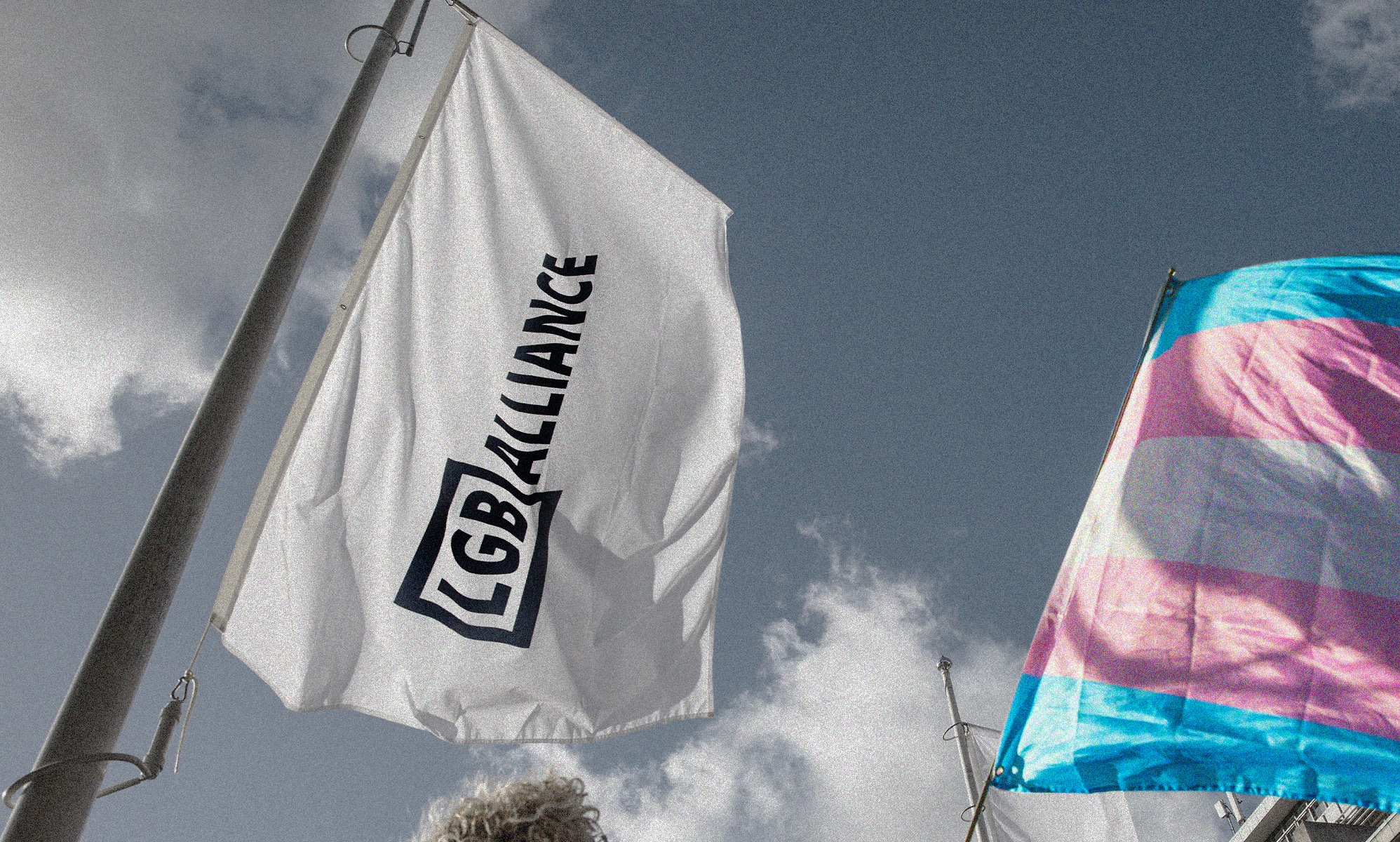 LGB Alliance: Legal bid to strip anti-trans group's charity status resumes