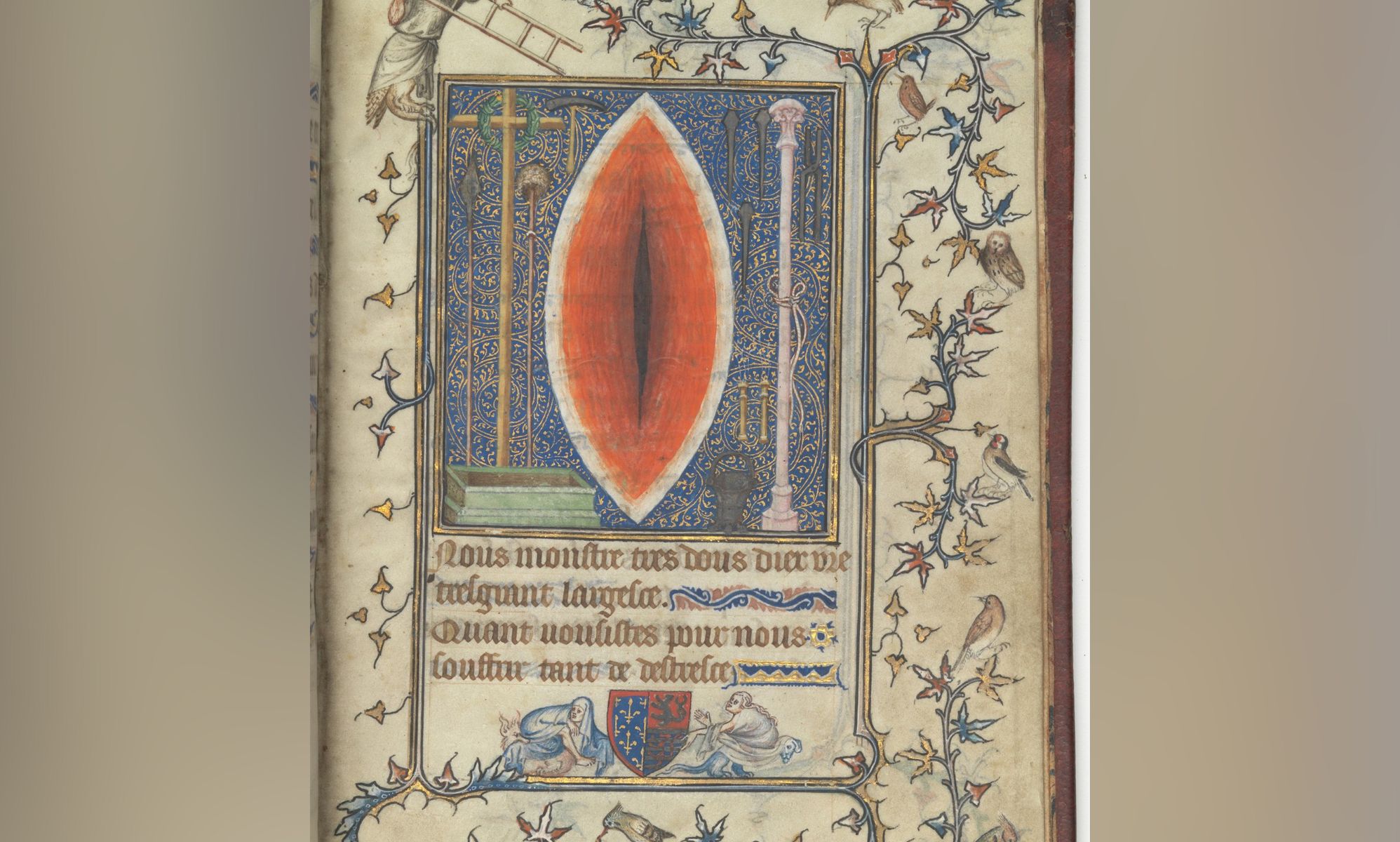 An artistic depiction of the side wound on Jesus Christ