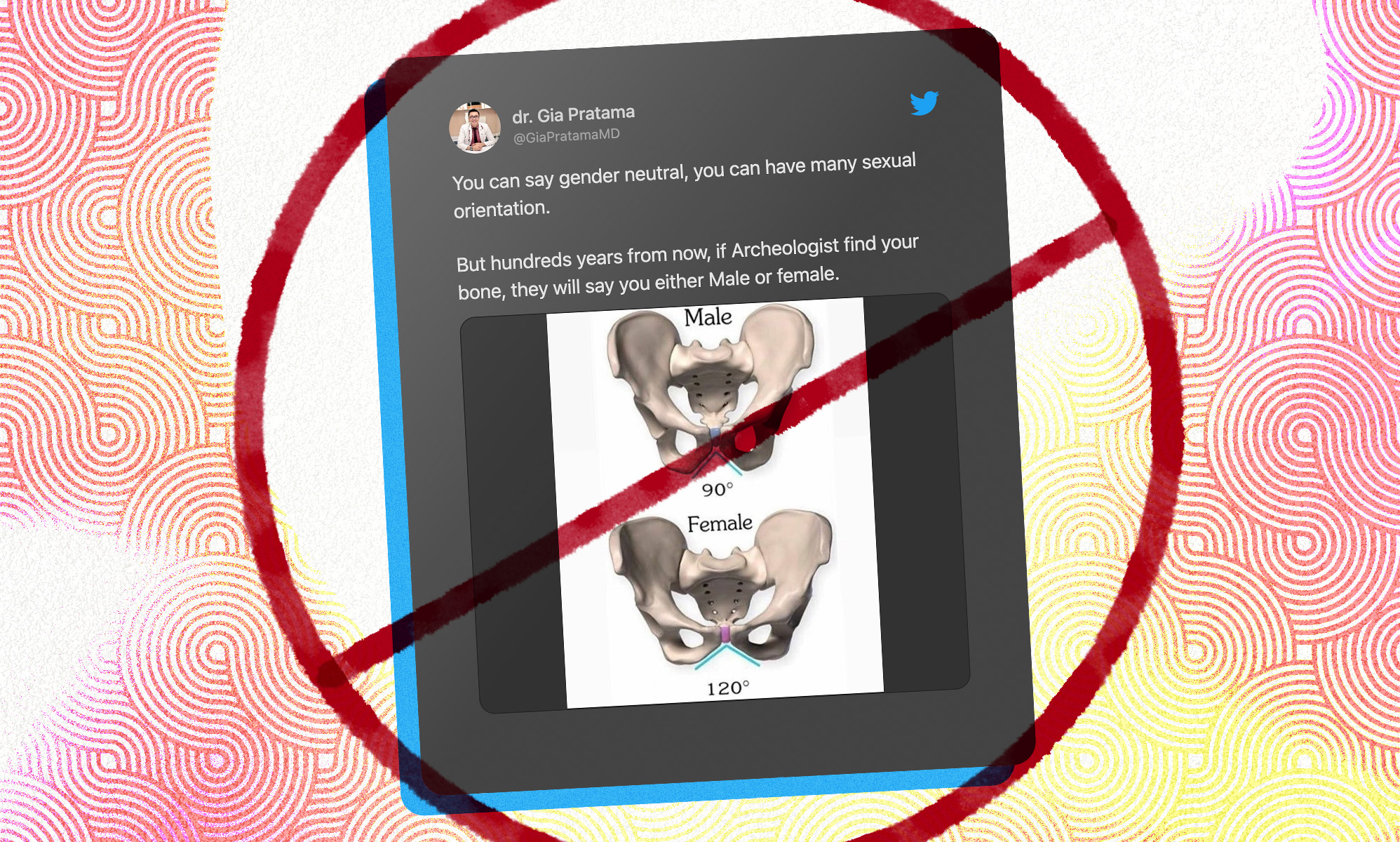 Sorry 'gender critical' trolls, you can't tell someone's sex by their pelvic bone. Here's why