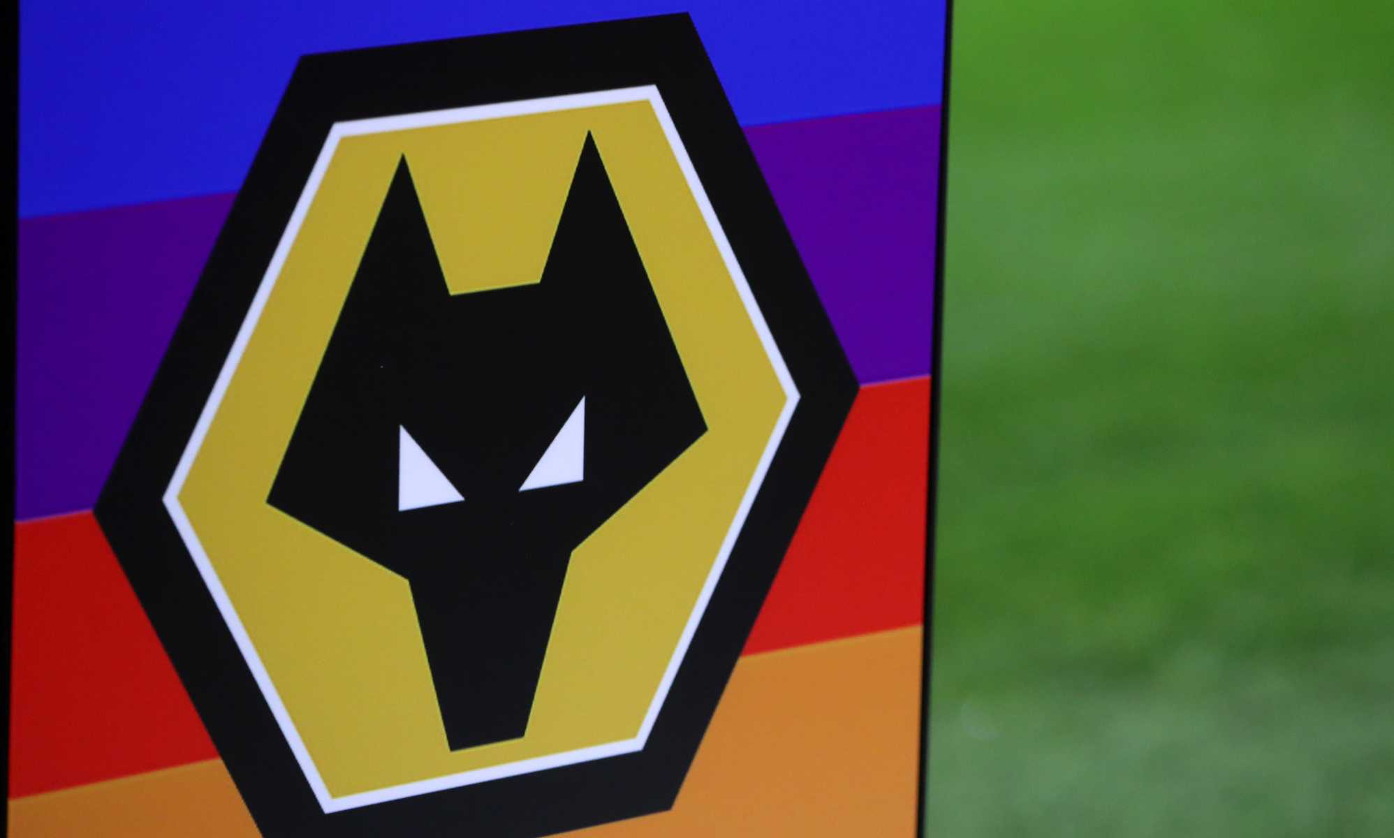 Wolves fan who made homophobic gestures at football match slapped with hefty fine