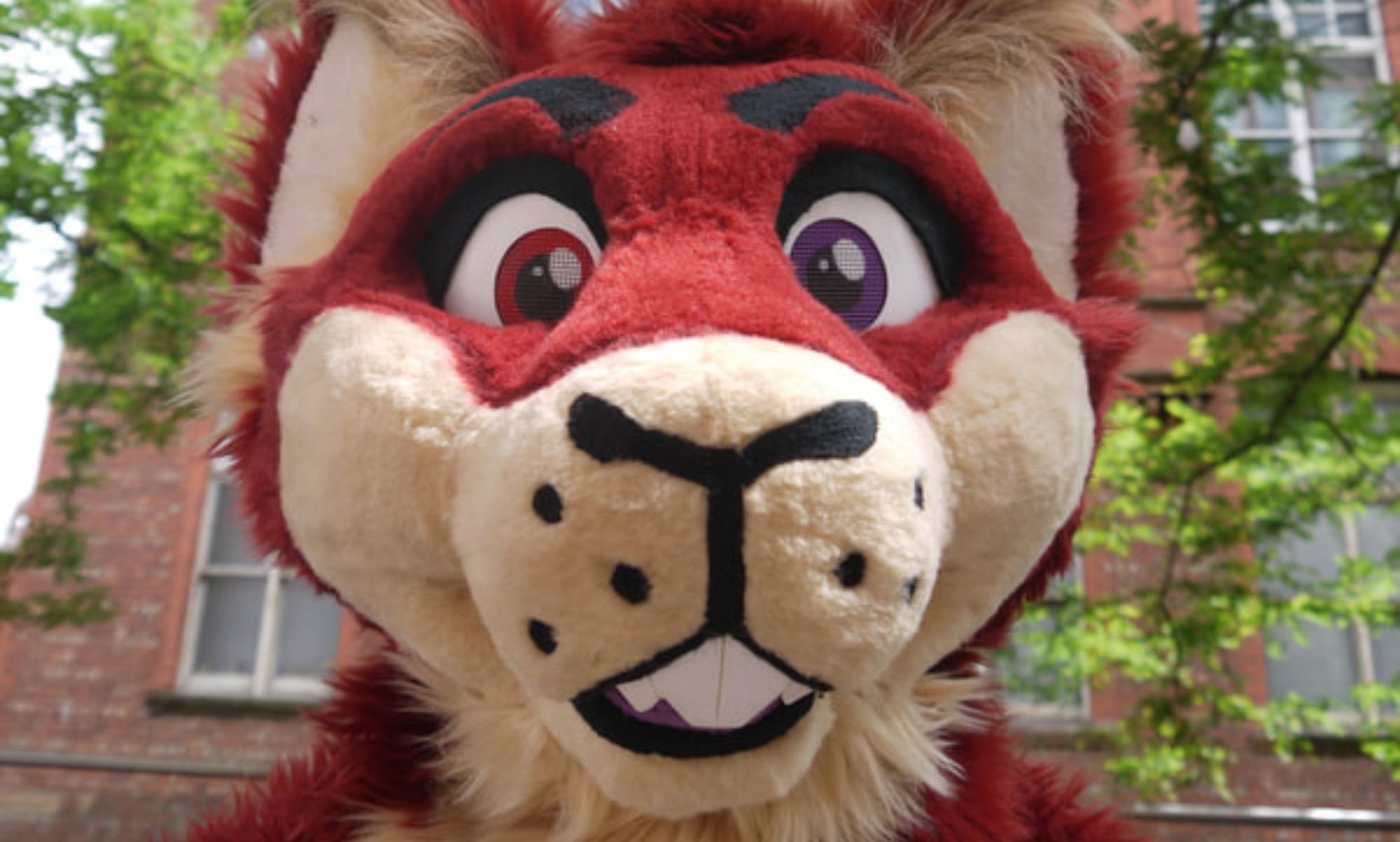 An individual dresses in a fursuit of a red squirrel while attending MancFurs