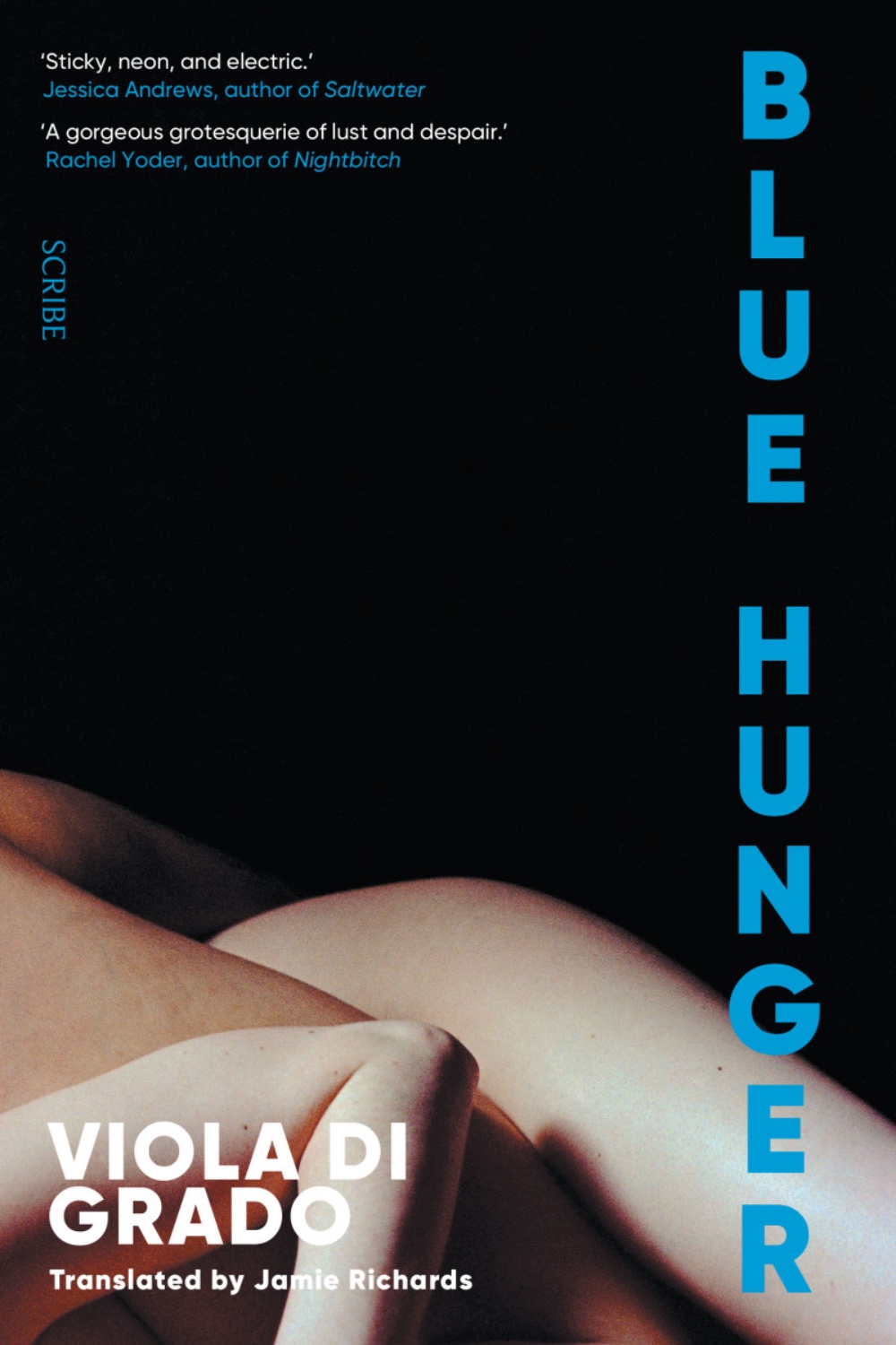 Blue Hunger by Viola Di Grado. (Scribe)