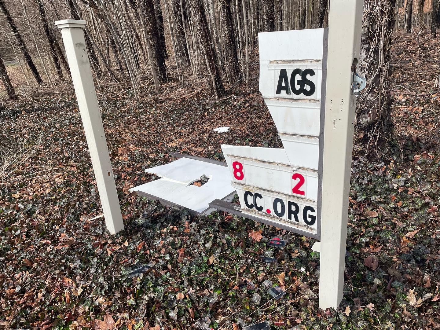 Man who firebombed church hosting drag events faces lengthy jail term