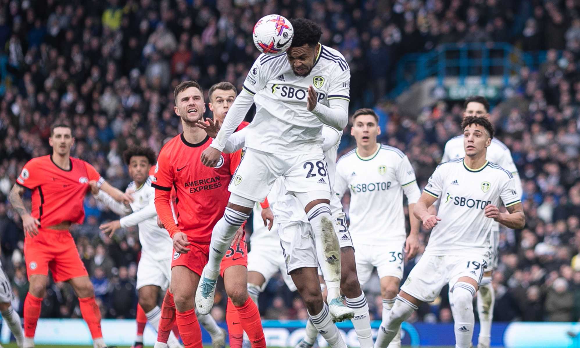 Leeds United LGBTQ+ group reminds fans homophobia isn't 'banter' after vile chants at Brighton game