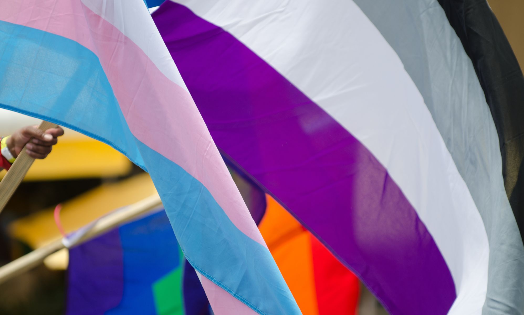 One in four young asexual people feel excluded from LGBTQ+ community