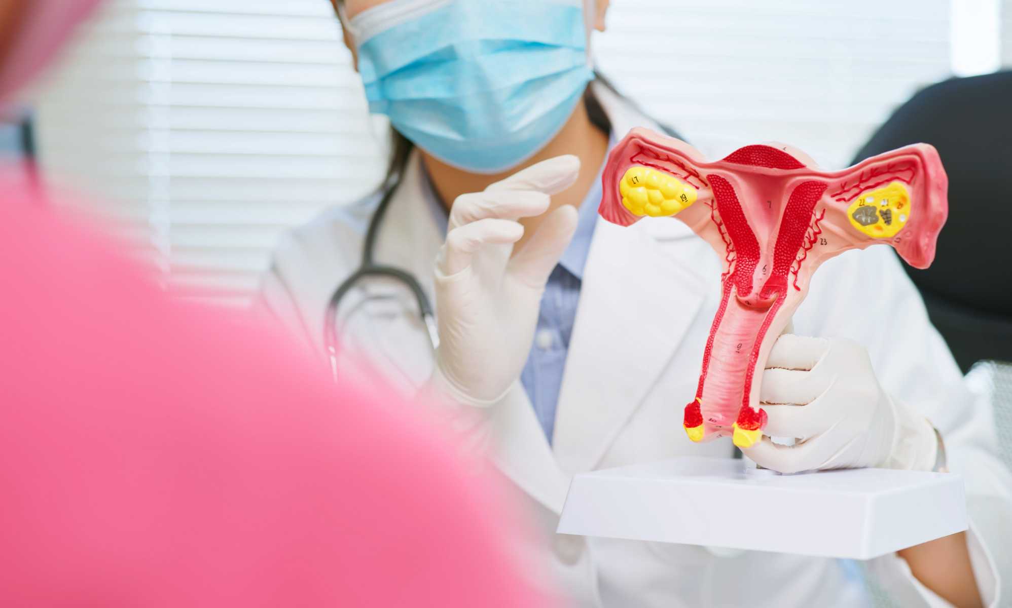 Council deletes trans-inclusive cervical screening tweet after vicious transphobic pile-on