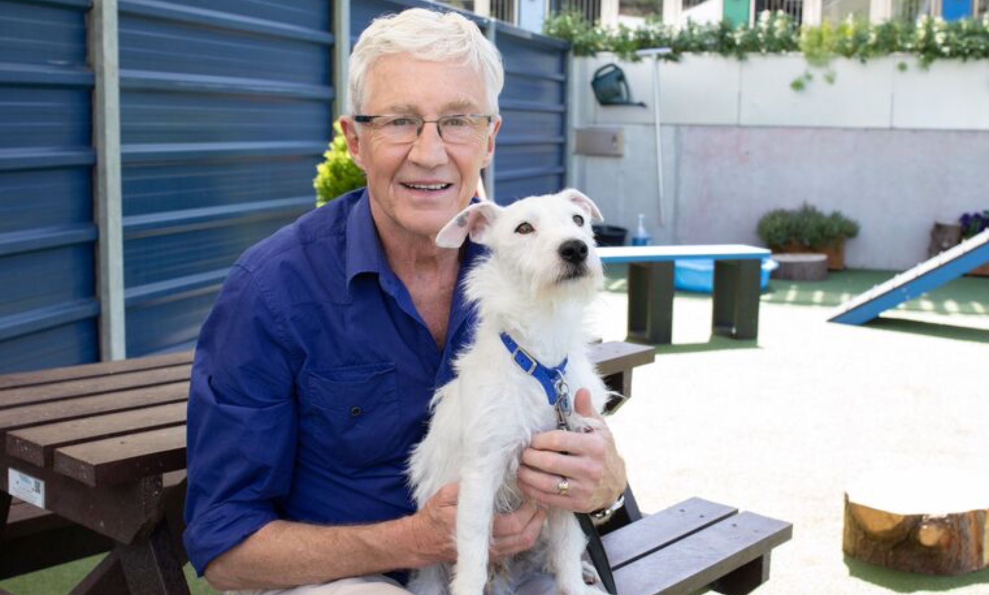 Battersea Dogs & Cats Home names veterinary hospital after Paul O'Grady