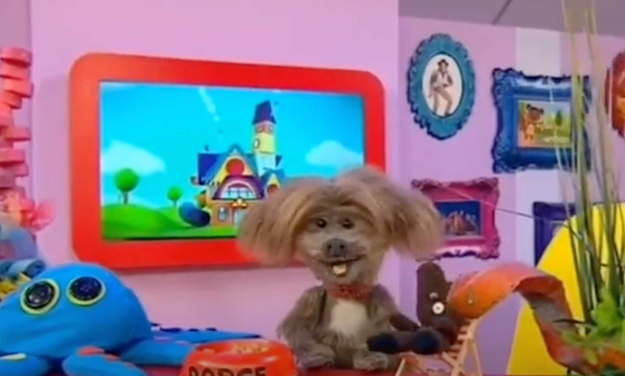 Bigots rage over CBeebies sharing biological facts about fish changing gender