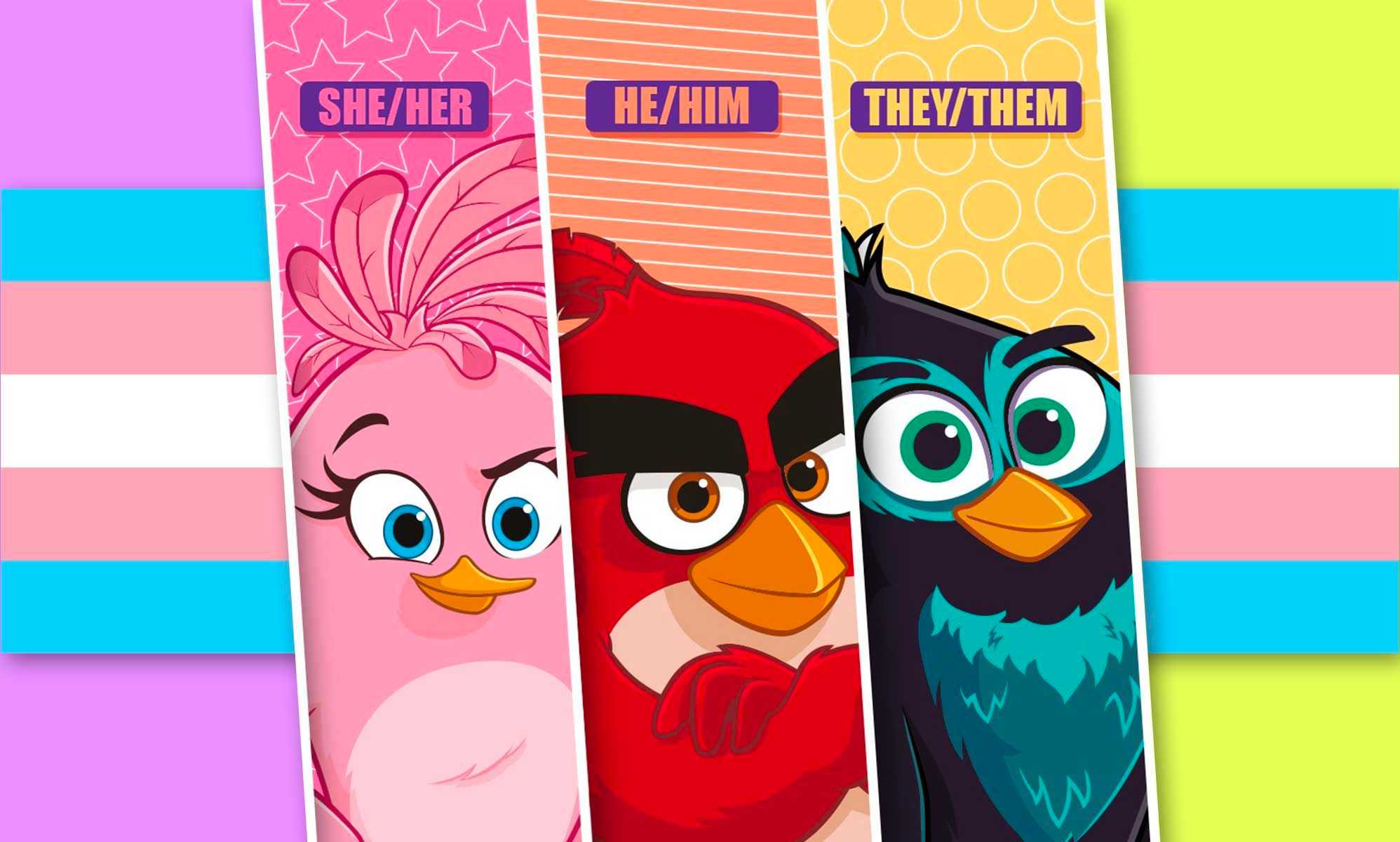 Angry Birds praised for adorably simple pronoun explainer: 'Thank you for fostering respect'