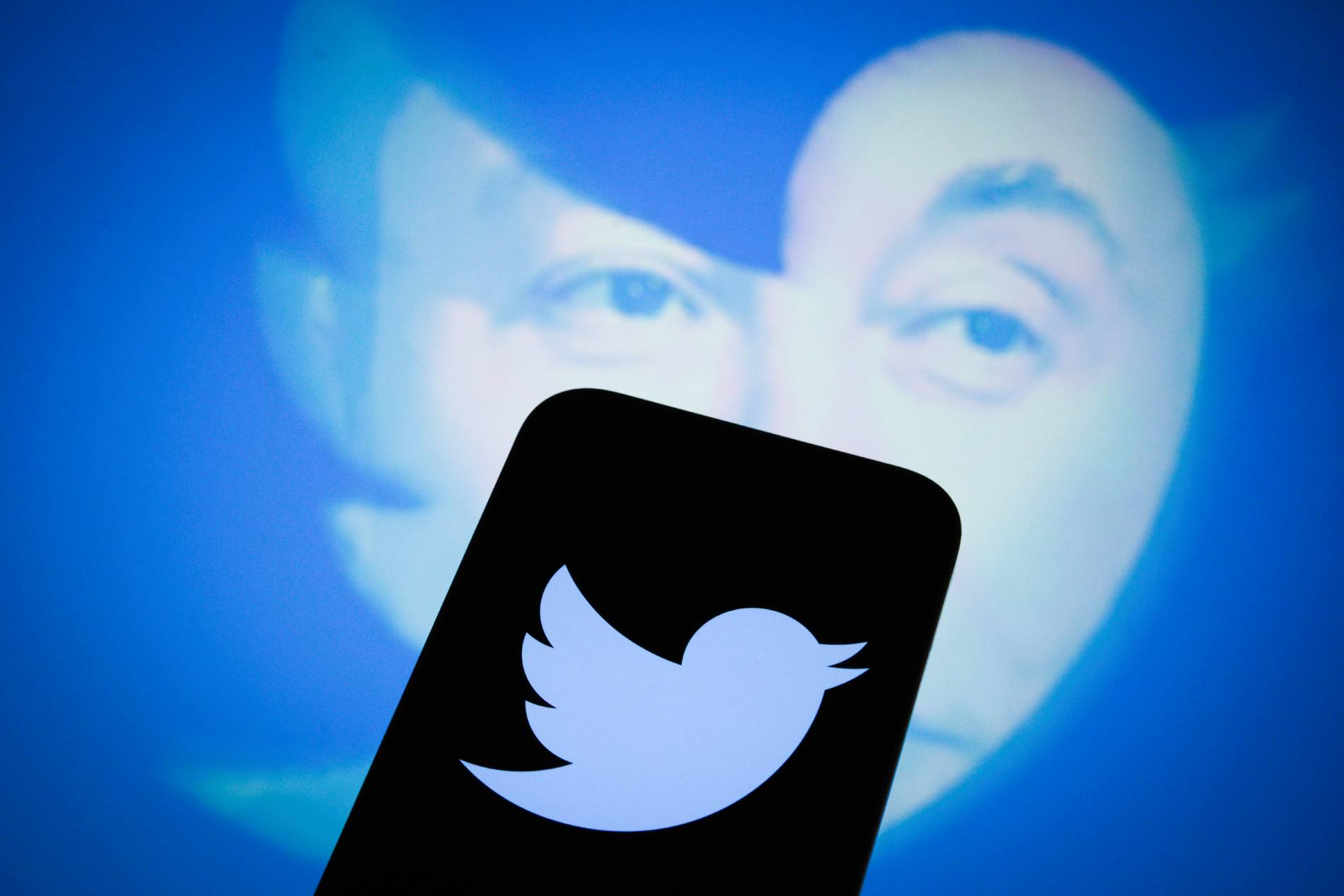 Twitter safety chief resigns as Elon Musk says deadnaming 'definitely allowed' in anti-trans film row