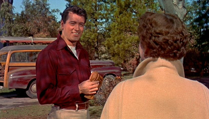 rock hudson all that heavens allows