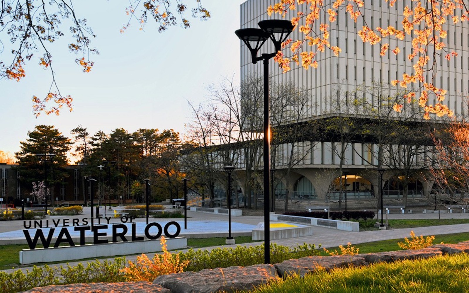 Three stabbed during gender issues class at Canadian university: 'Everybody just ran'