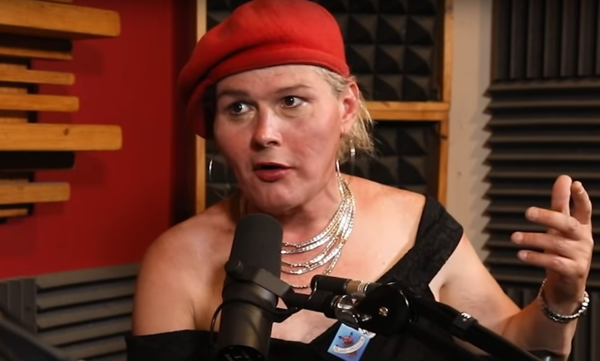 Woman arrested over 'punch TERFs' speech at London Trans+ Pride