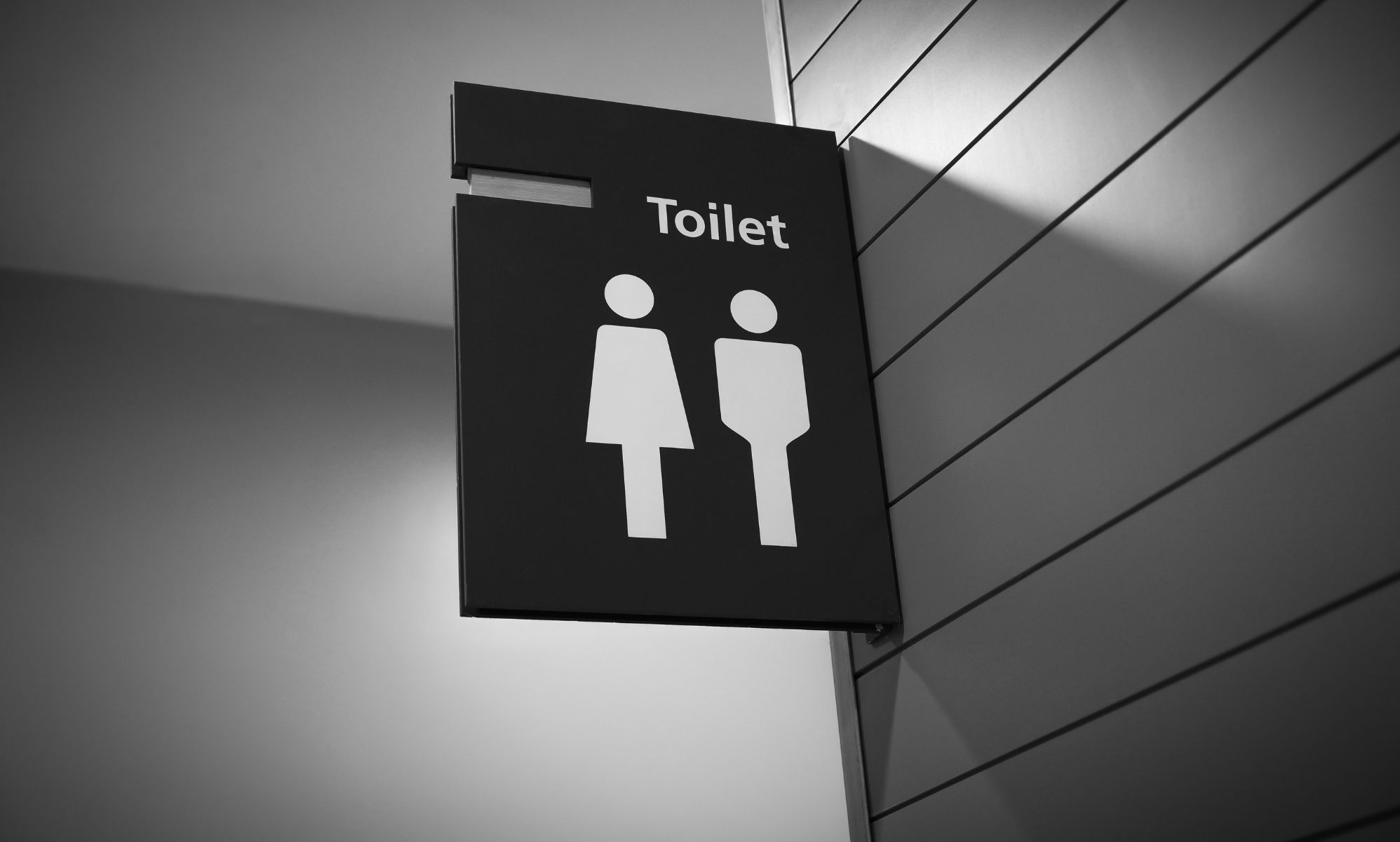 EHRC to extend gender consultation after 'shambolic' roll-out of interim guidance on single-sex spaces