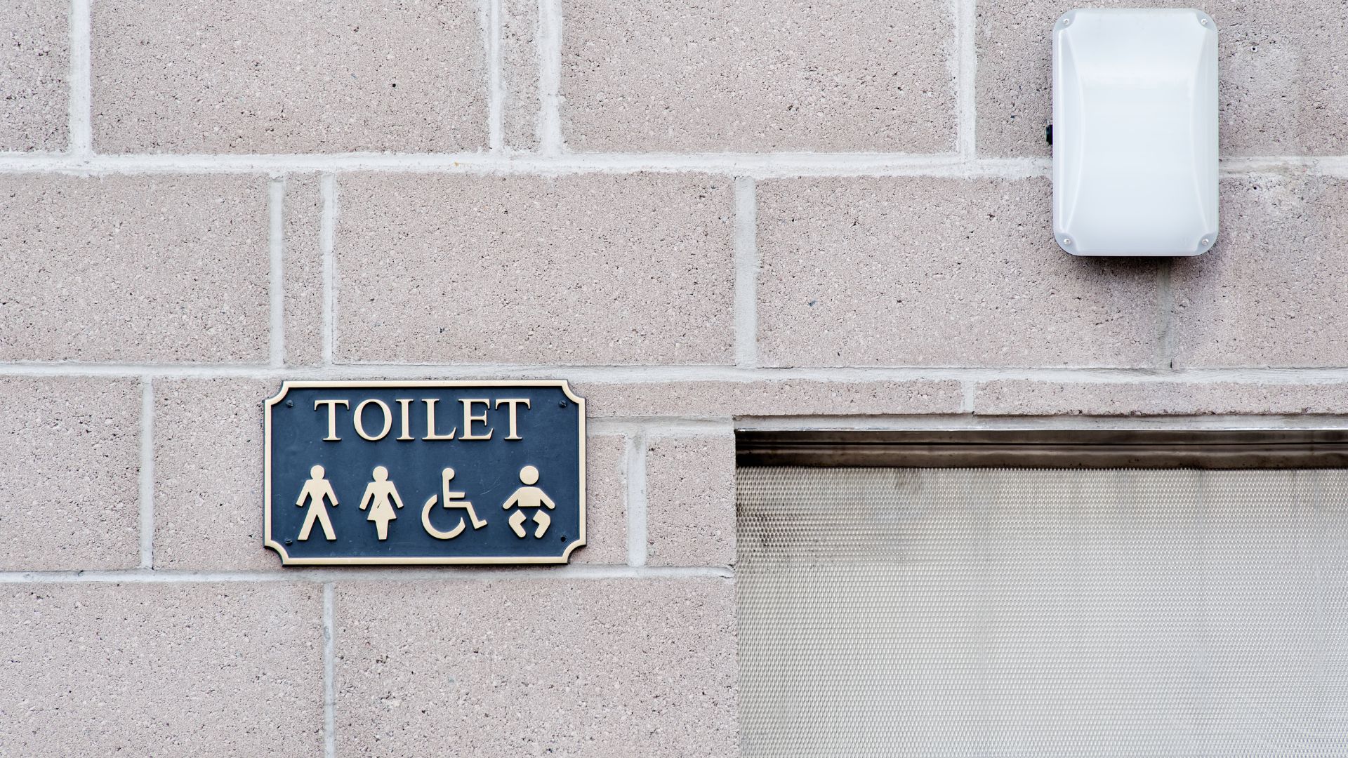 Stock photo shows a sign for gender-neutral toilets, featuring symbols for men, women, disabled people, and baby changing