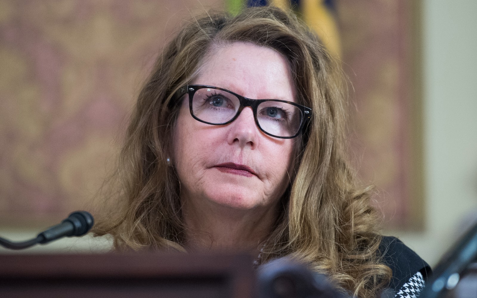 Senior schools official spreads debunked myths about children using cat litter boxes as toilets