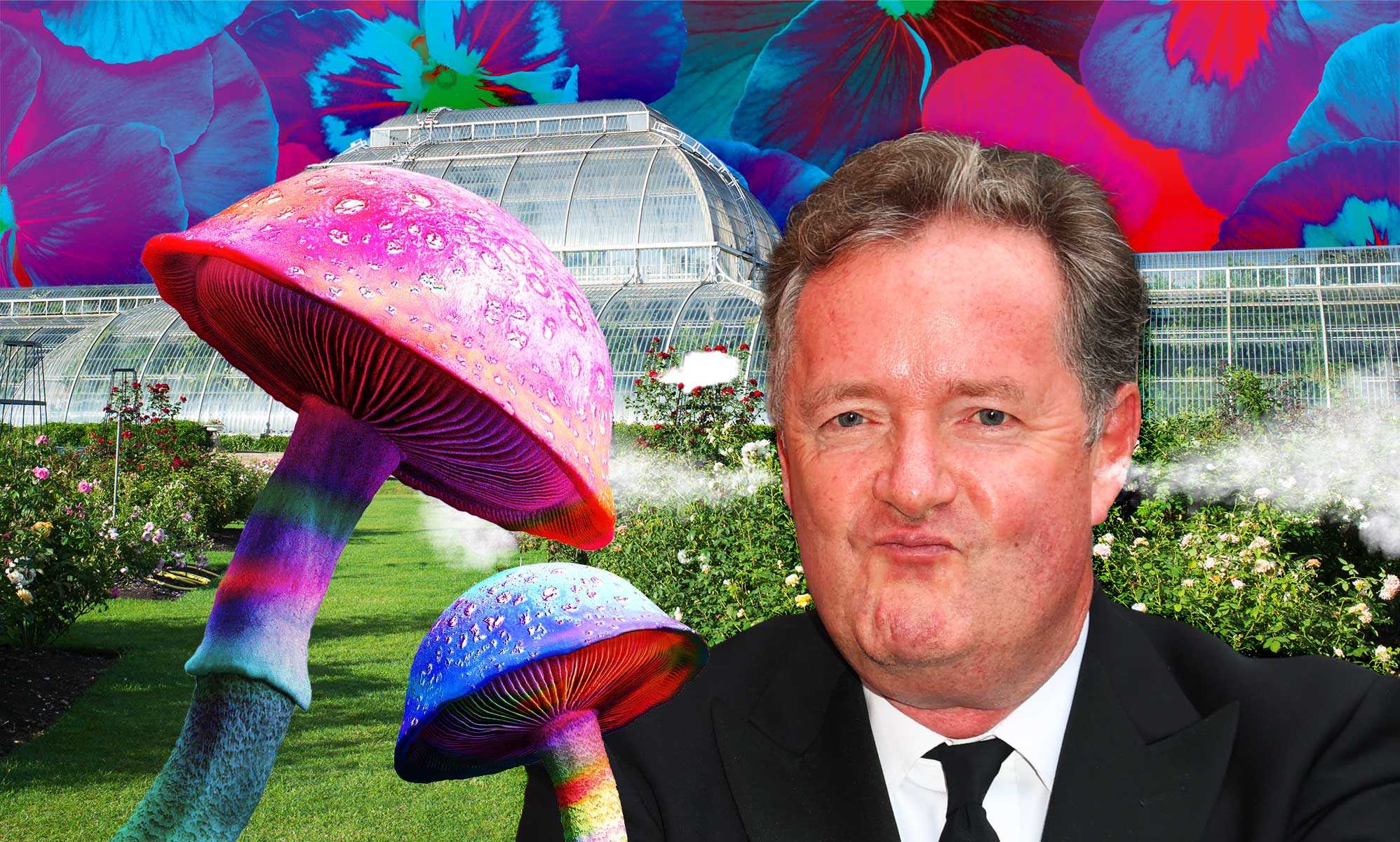 ‘Why can’t we just have straight plants?’: Piers Morgan rages over Kew Gardens ‘queer nature’ event 