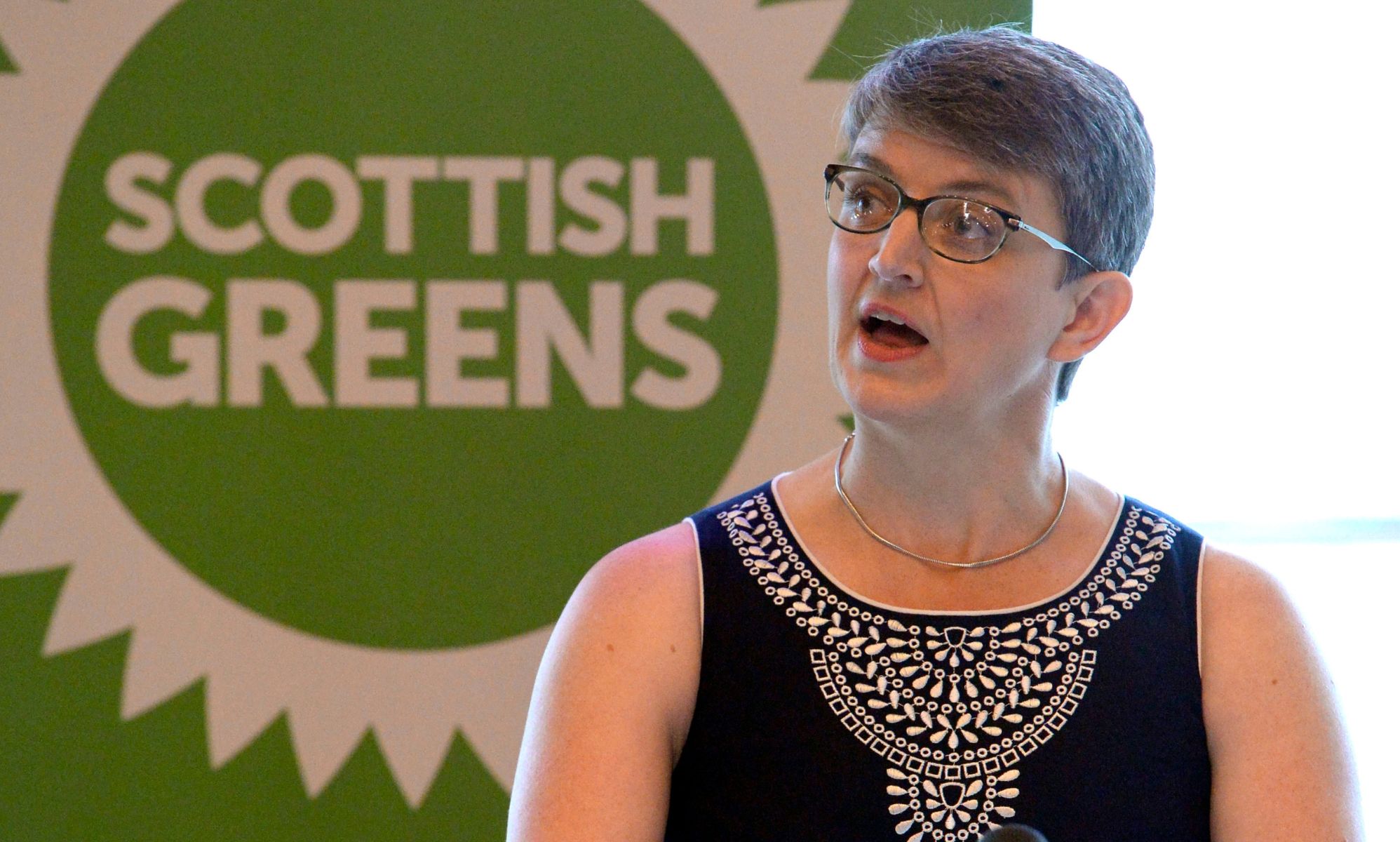 Green MSP Maggie Chapman calls for government to better support trans and non-binary youth