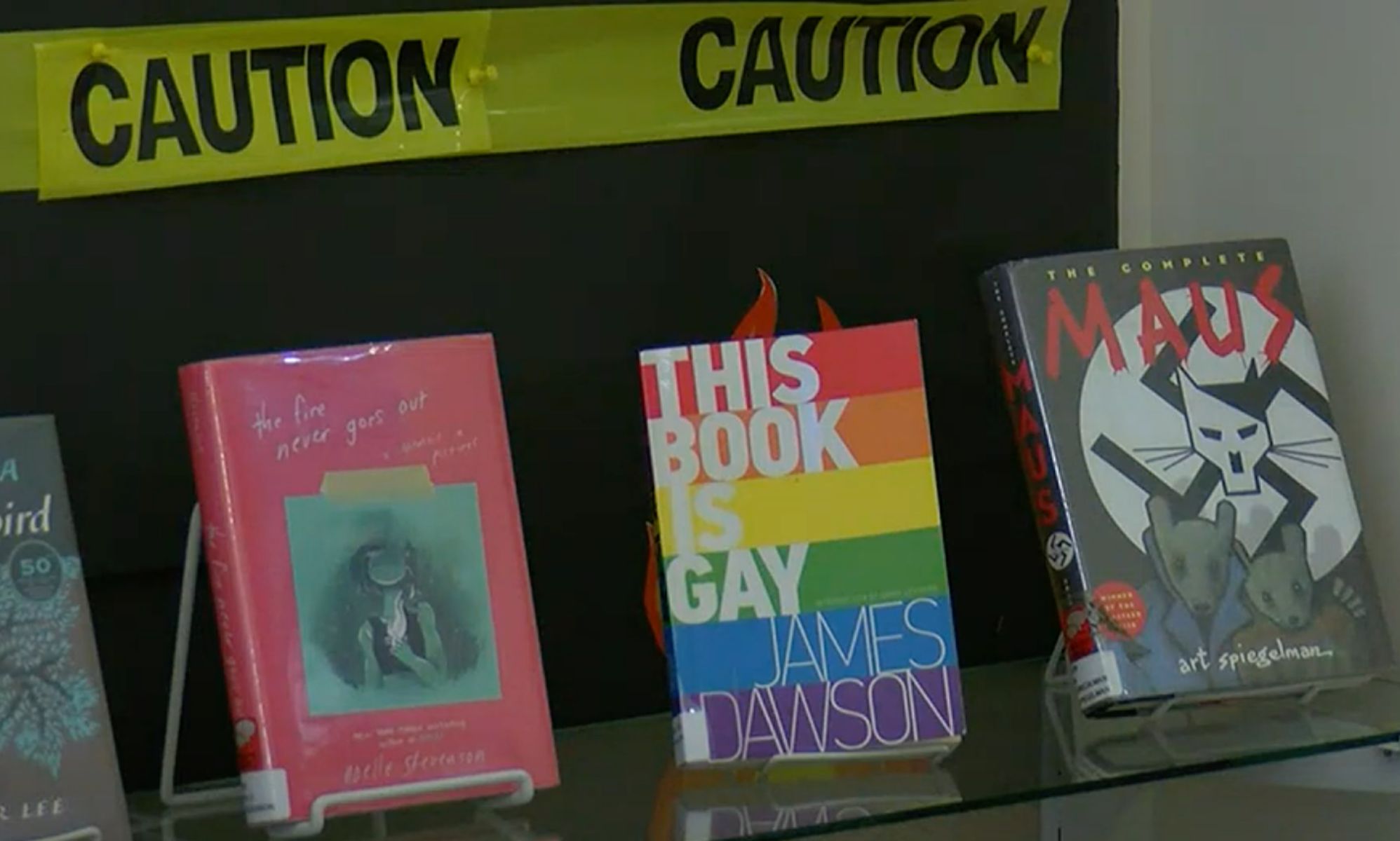 Alabama anti-porn group wants librarians to face jail for offering LGBTQ+ books to kids