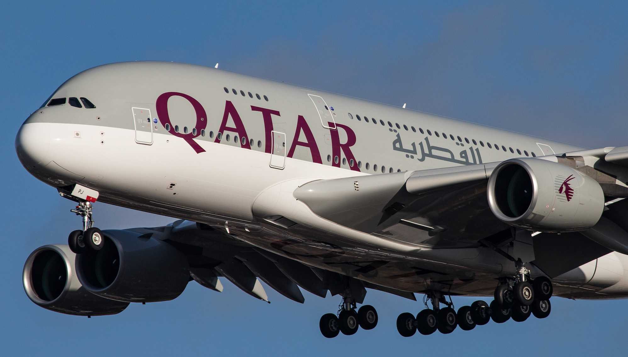 Gay flight attendant deported from Qatar 'for wearing tinted moisturiser'