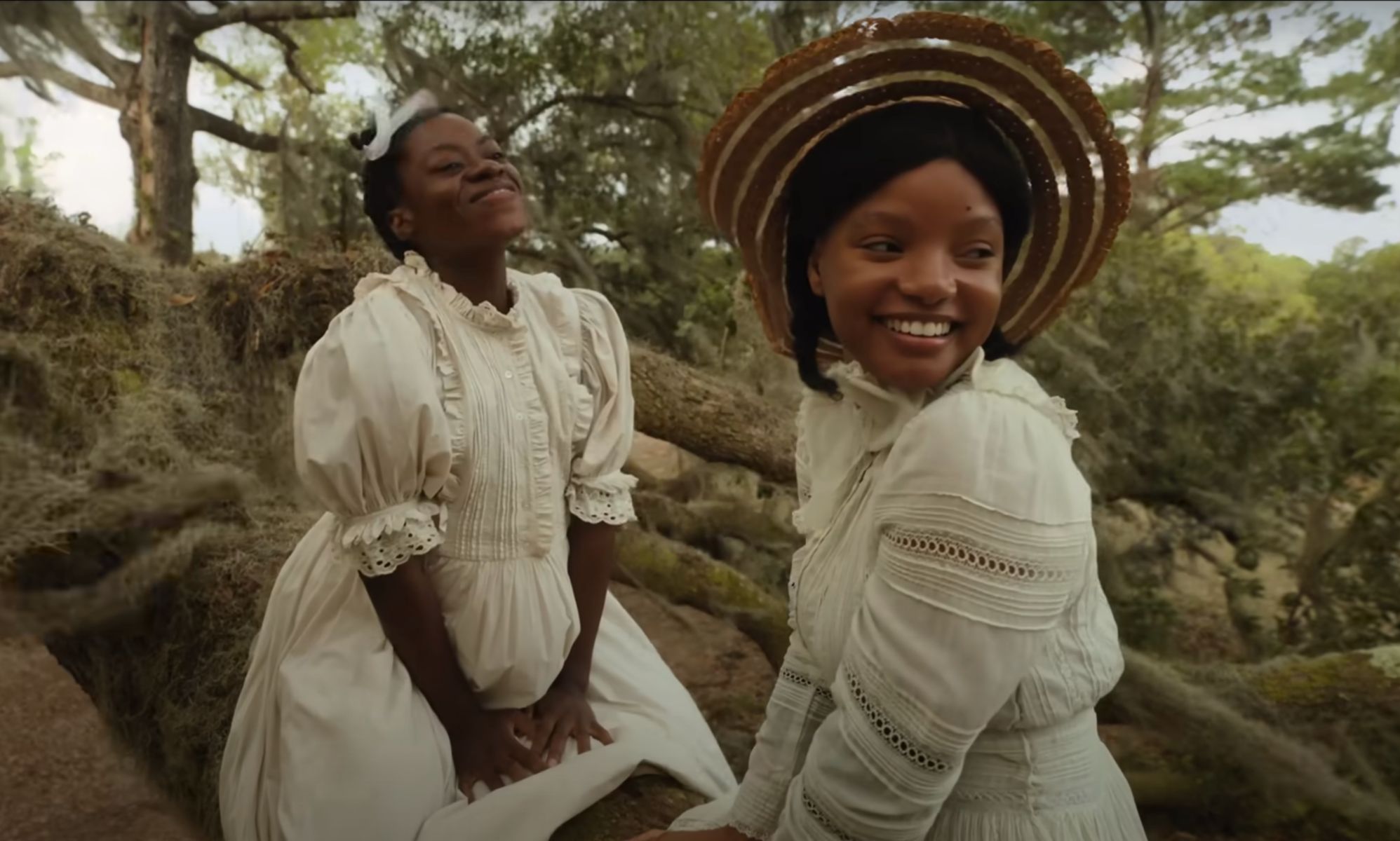 Why The Color Purple has been remade: 'Celie is a queer icon'
