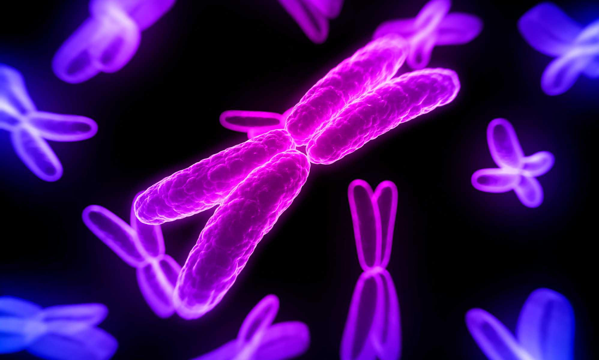 New research finds bisexual genes for first time – and they are ‘reproductively advantageous’