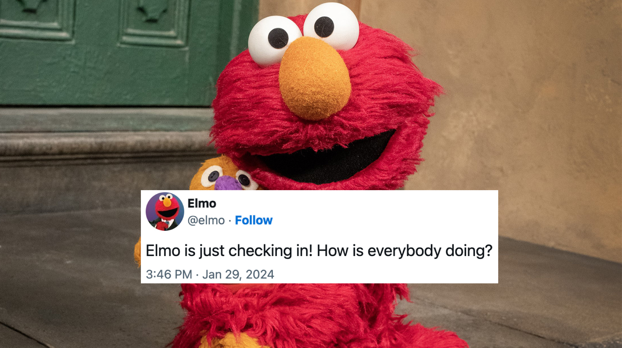 Elmo asked 'how is everyone doing?' on X. He quickly became the world's therapist