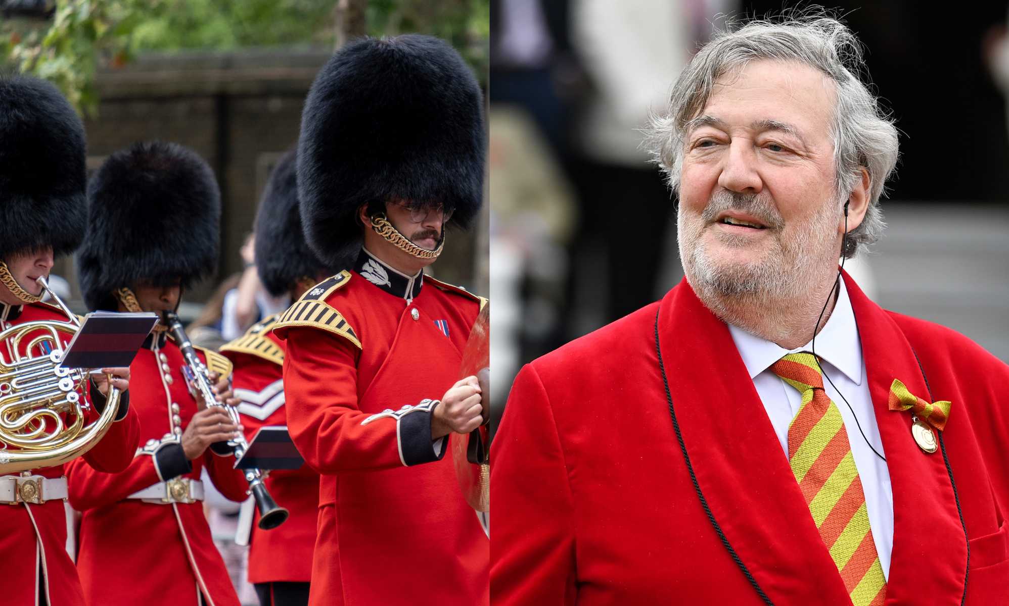 Stephen Fry joins calls for end to bear fur on King's Guard caps