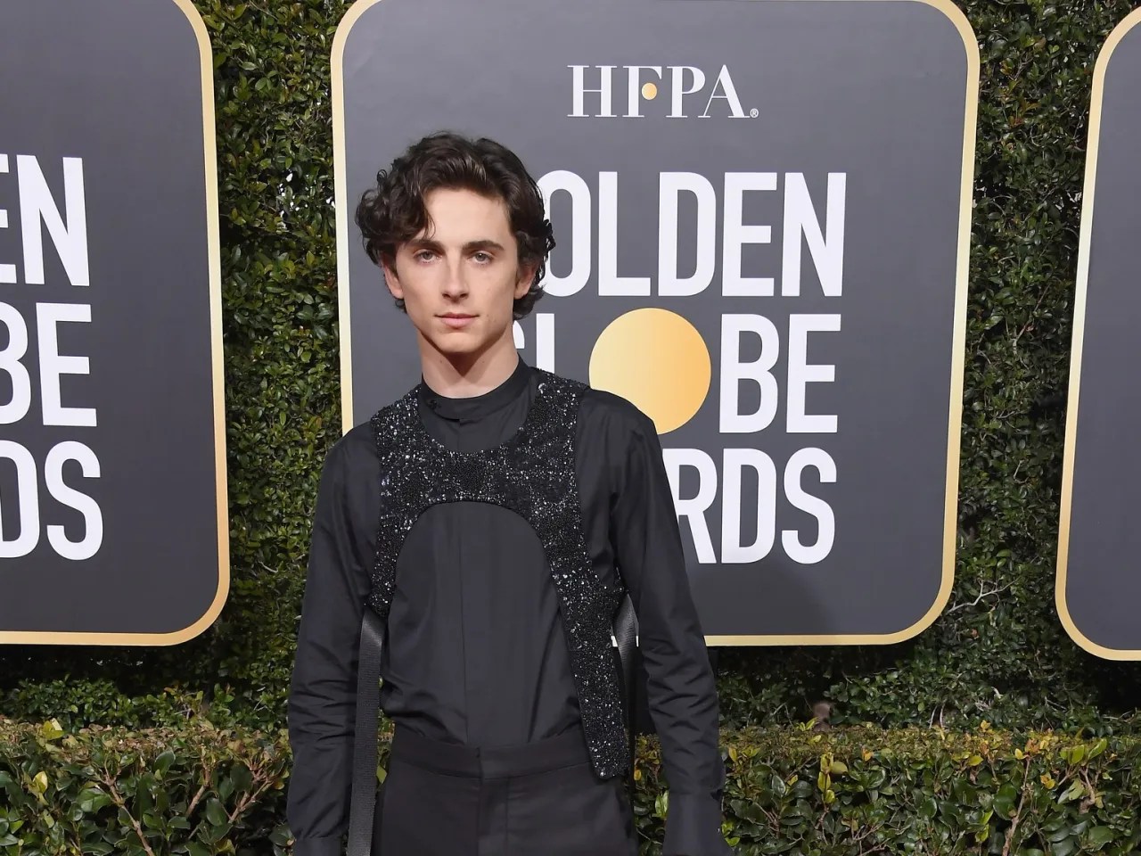 Timothee Chalamet at the 2019 Golden Globes