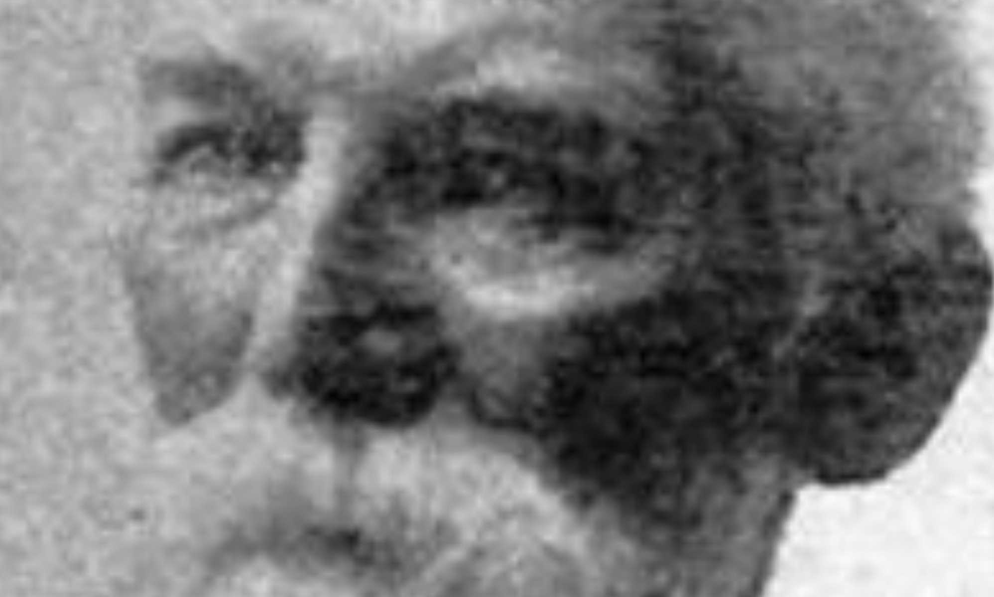 Is this the strangest name ever? Ohio dentist Dr Gay Hitler causes a stir online