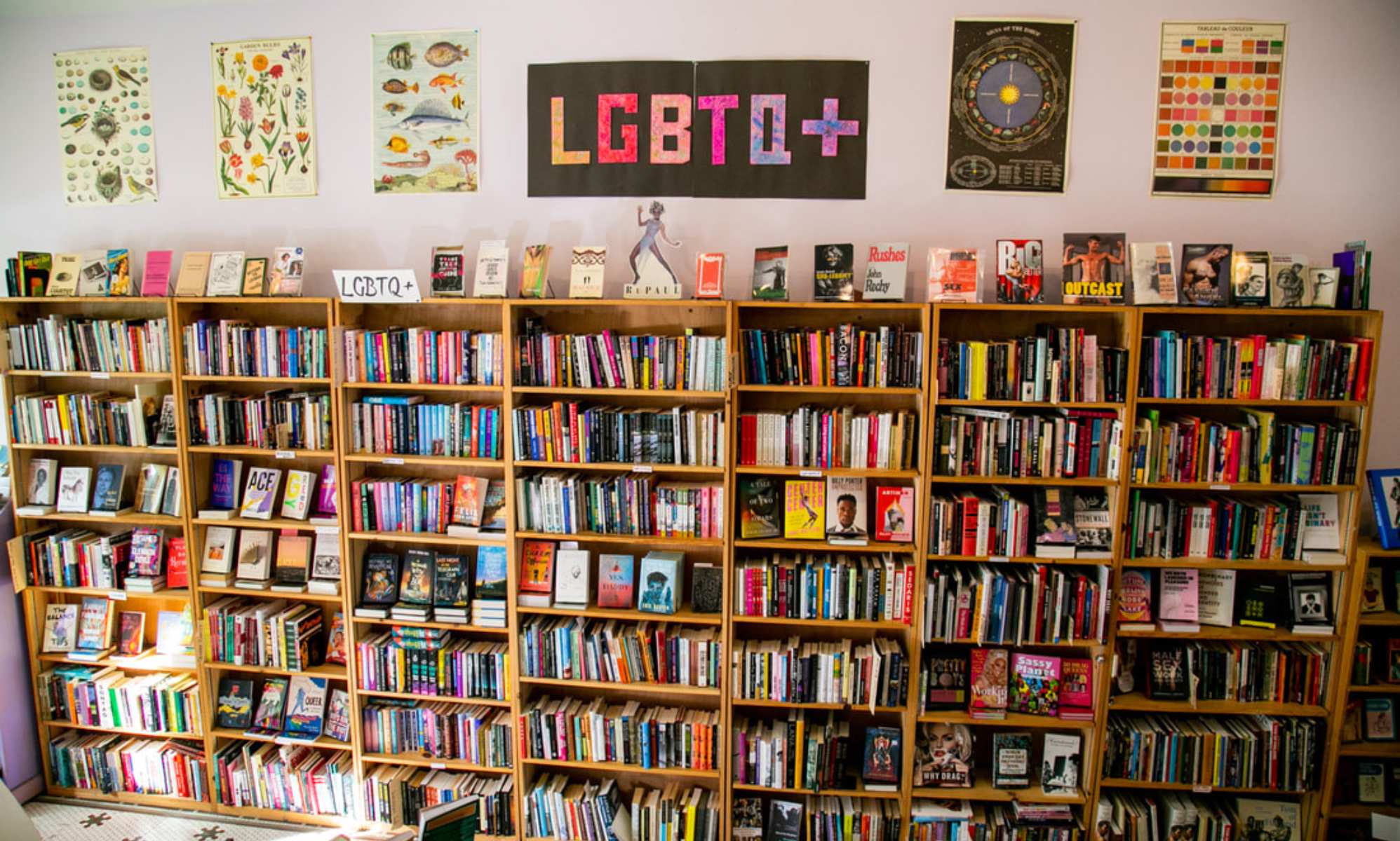 Publishing industry slams new network for people ‘concerned about the impact of gender ideology’