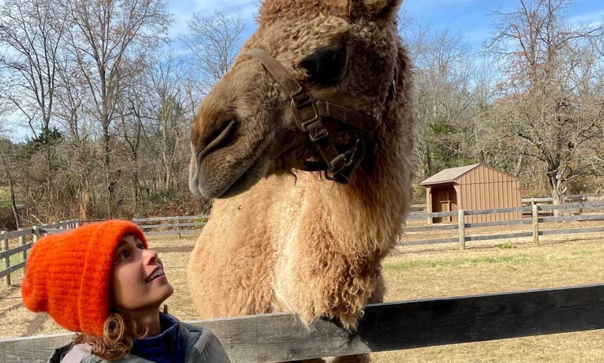 Woman says she can communicate with animals (both gay and straight) telepathically – and so can you