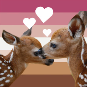 deer over the top of the Bambi flag