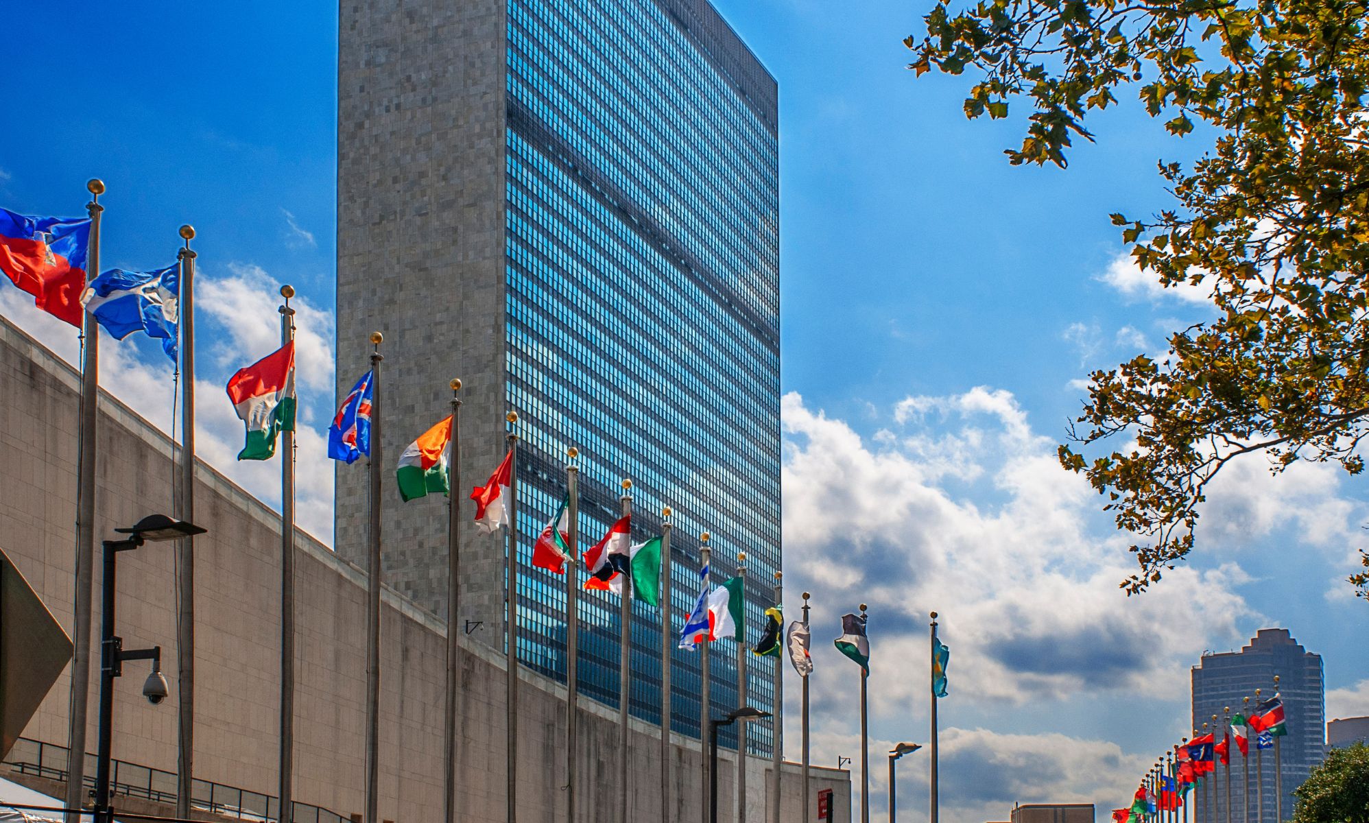 United Nations passes 'groundbreaking' resolution recognising intersex discrimination