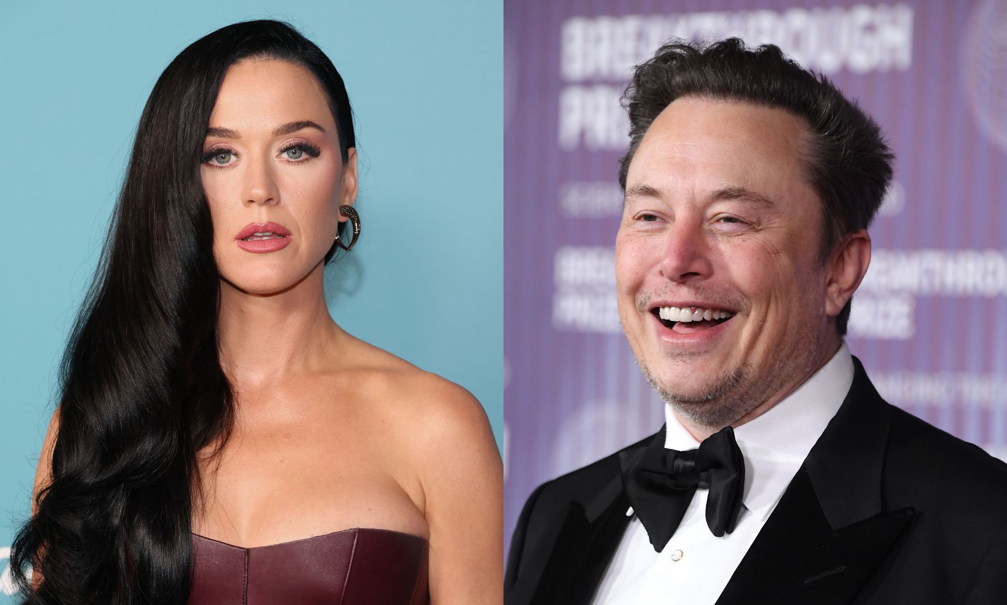 Katy Perry faces fierce backlash from LGBTQ fans after thanking Elon Musk for her new Cybertruck