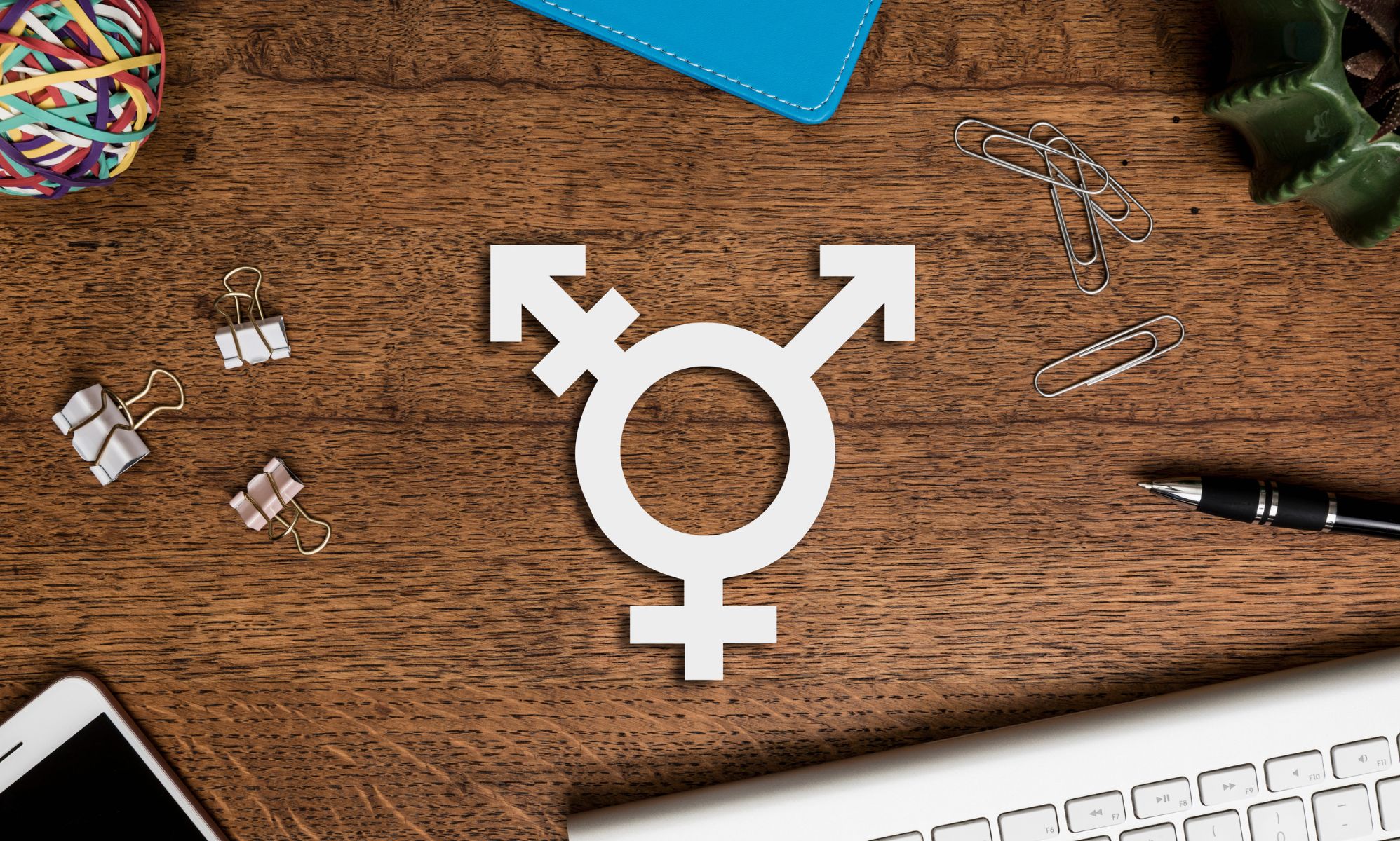Trans Awareness Week 2025: The fascinating origin story of the famous transgender symbol