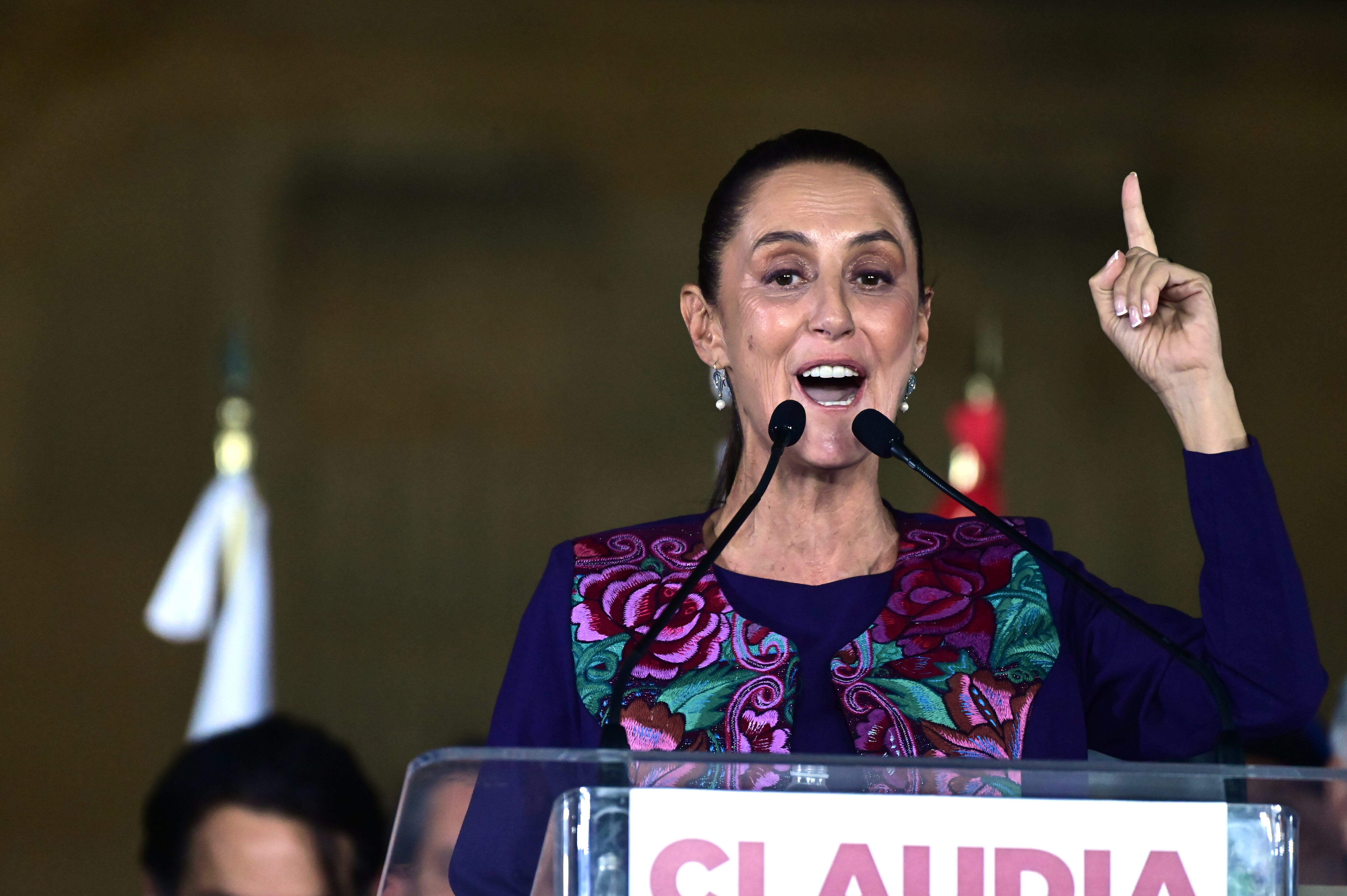 Claudia Sheinbaum: Where does Mexico's first woman president stand on LGBTQ+ rights?