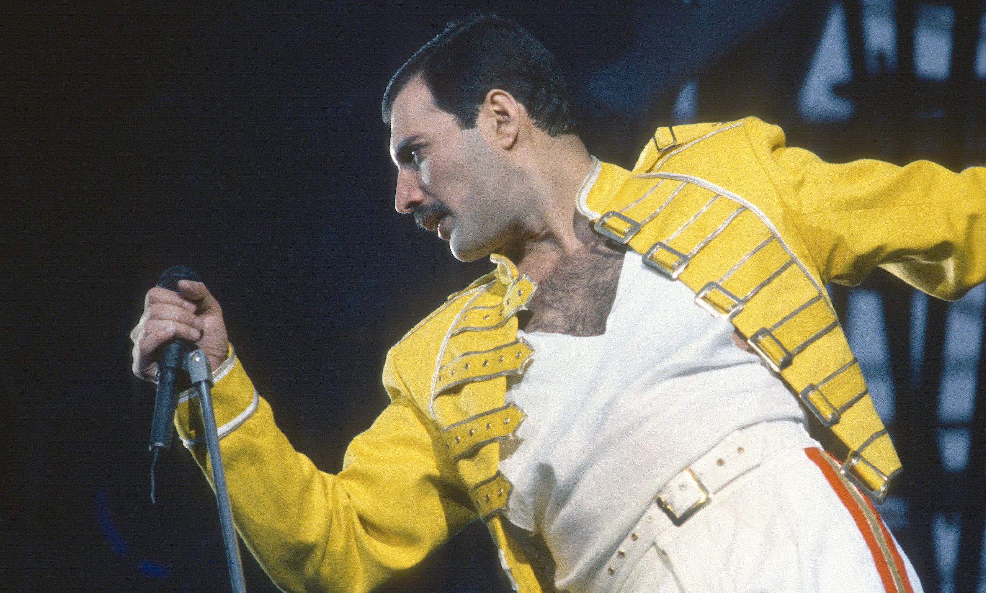 Queen's Brian May says calling Freddie Mercury 'queer' would've 'upset' him