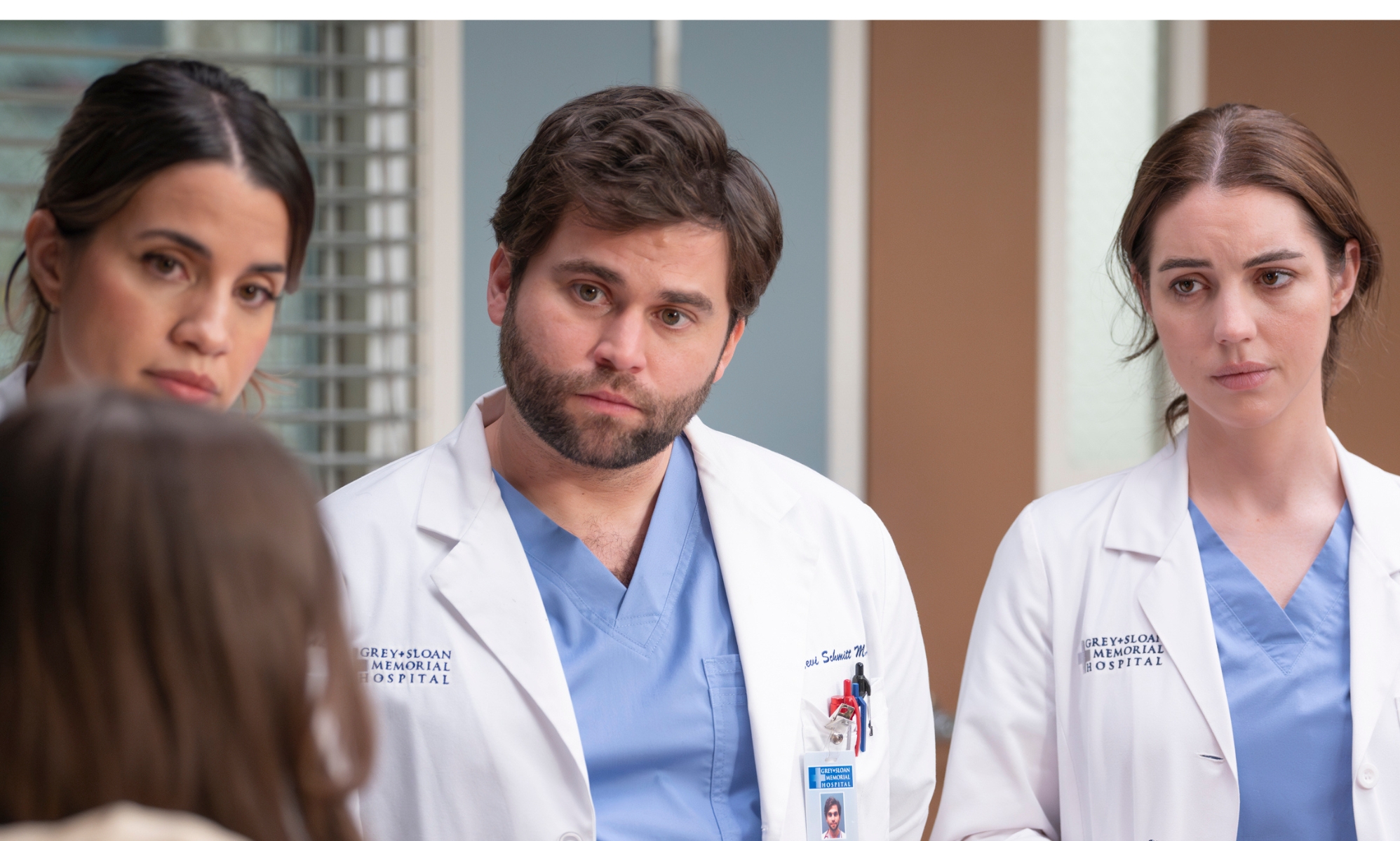 Grey’s Anatomy set to introduce a new gay character