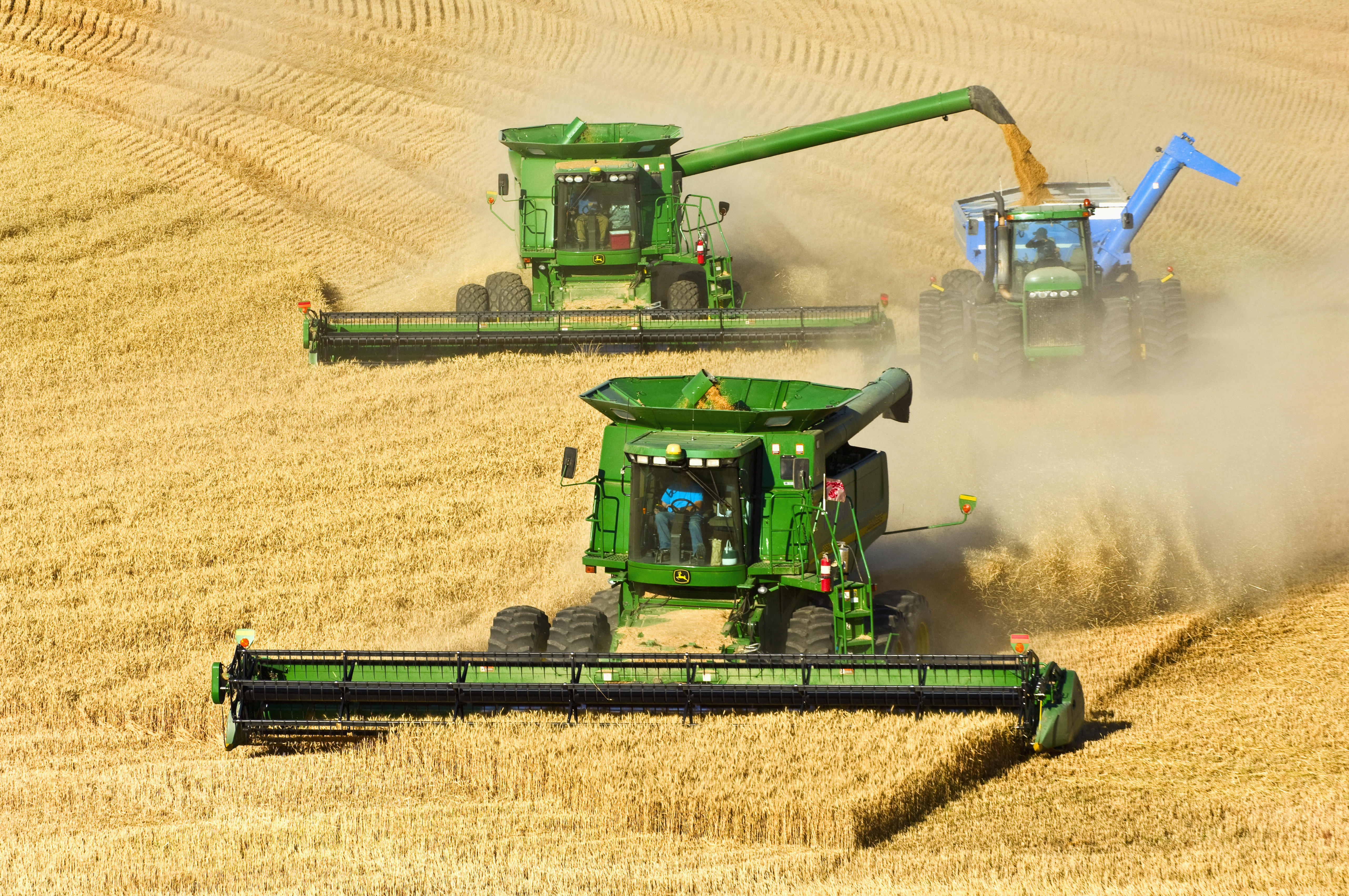 Two John Deere combines in tandem harvest wheat while one unloads into a grain cart.