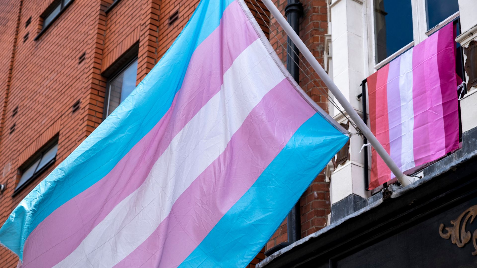 Vast majority of trans people feel 'unsupported' by brands, Channel 4 study finds