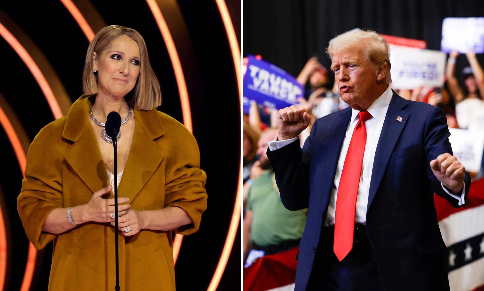 Celine Dion slams Trump campaign for 'unauthorised' use of song during rallies