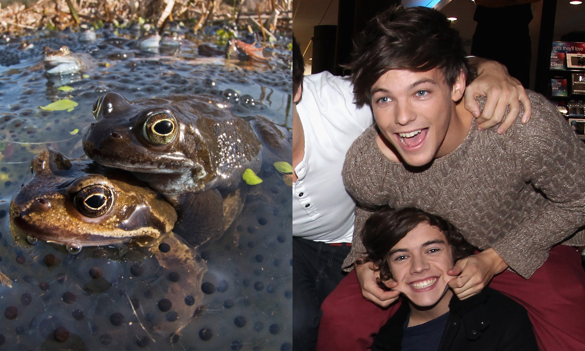 Four famous LGBTQ+ conspiracy theories that prove they're definitely not a new phenomenon