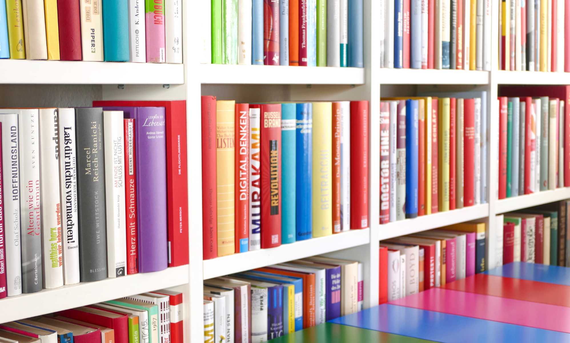 This Book Is Gay among LGBTQ+ titles facing bans in the UK, study finds