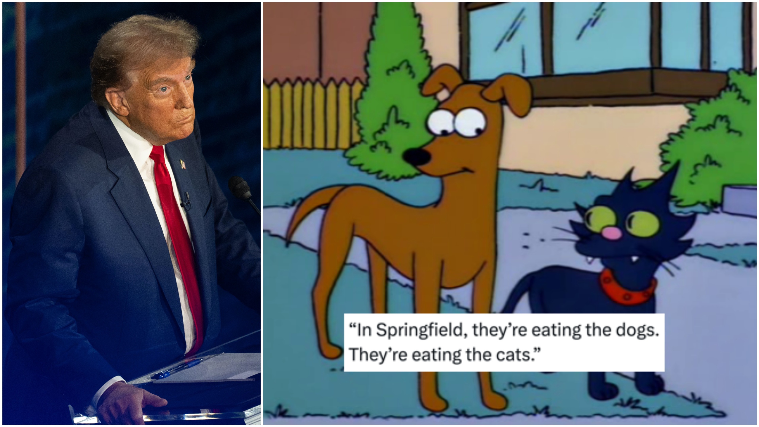 Donald Trump falsely claims immigrants are eating dogs and cats - and the memes are sublime