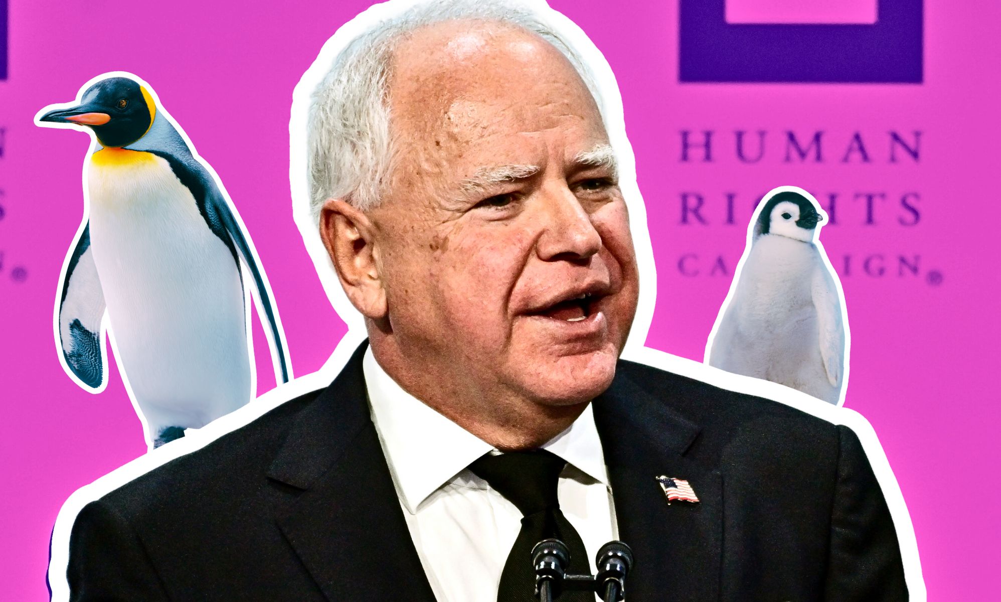 Tim Walz's comment about gay penguins and school shootings goes viral