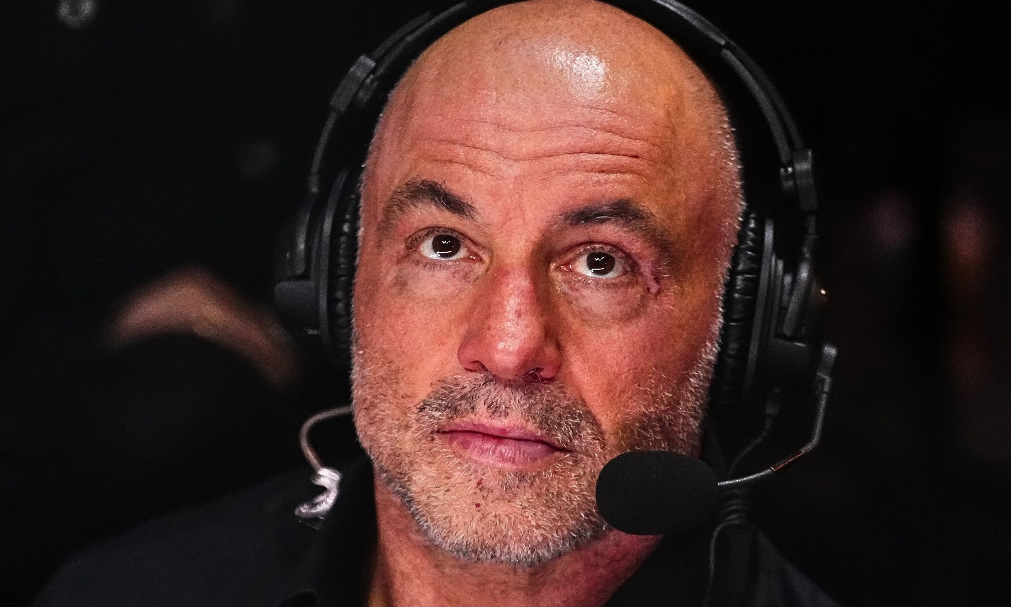 Joe Rogan endorses Donald Trump for president, surprising absolutely no one